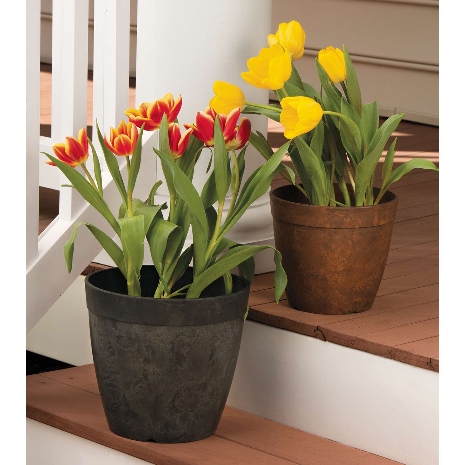  Novelty ArtStone 7.5 In. H X 6.5 In. W X 6.5 In. D X 8 In. D Resin Dolce Planter Rust
