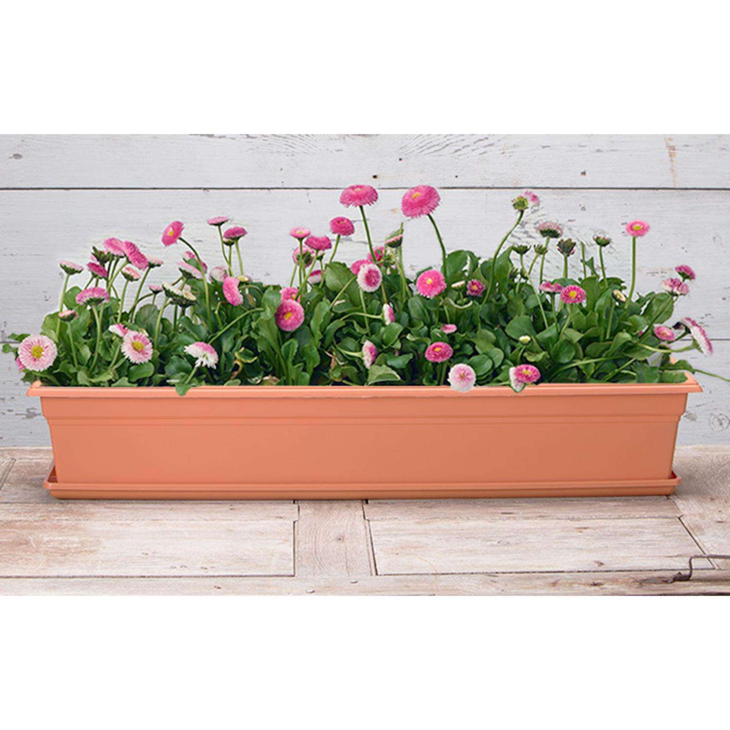  Novelty 6.4 In. H X 36 In. W X 8 In. D Plastic Countryside Flower Box Terracotta