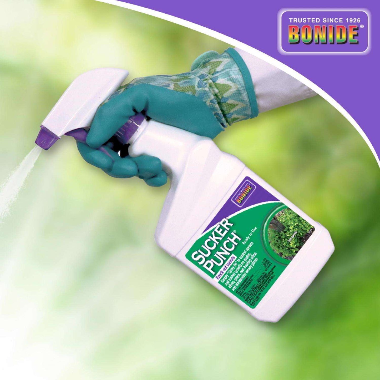  Bonide Sucker Punch Tree Roots Killer RTU Liquid 16 Oz