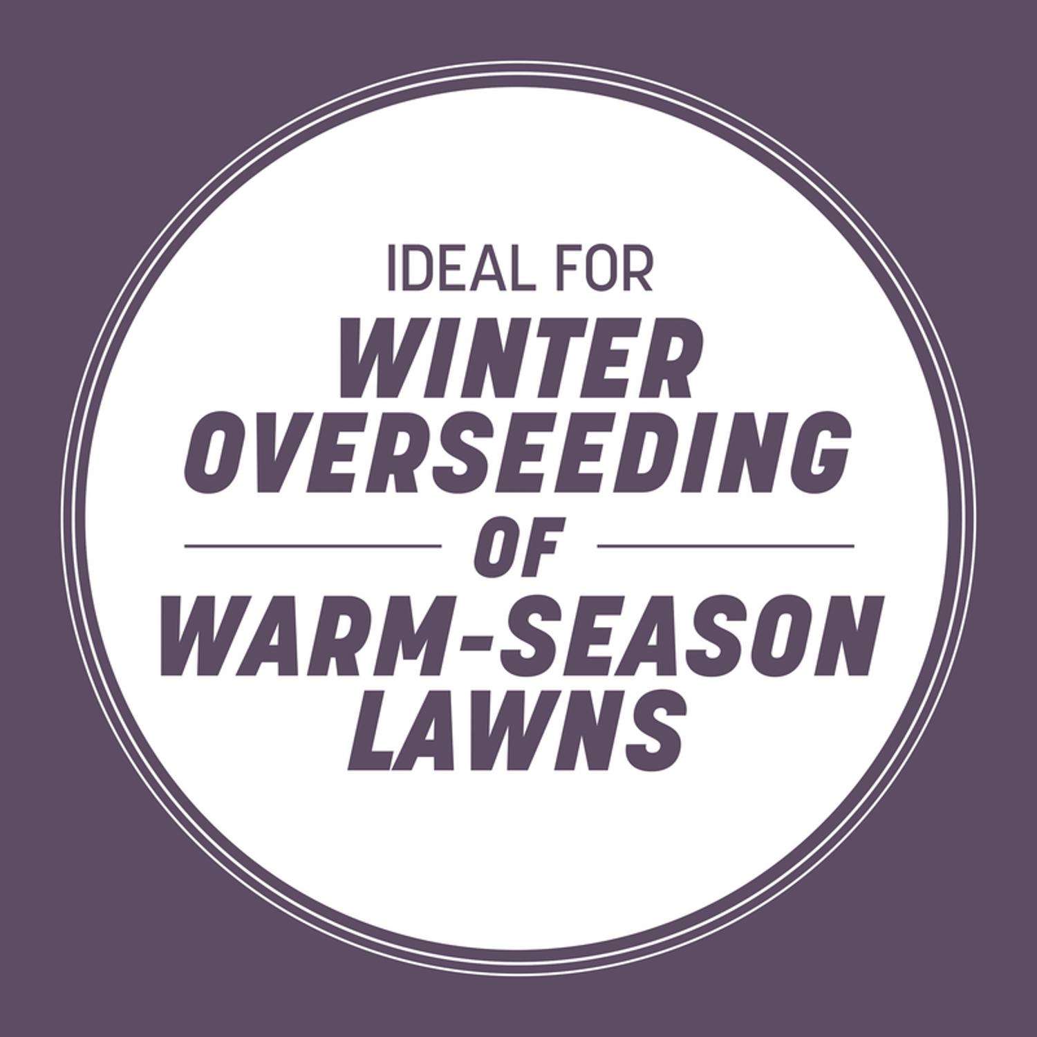 Pennington Annual Ryegrass Sun Or Shade Grass Seed 25 Lb