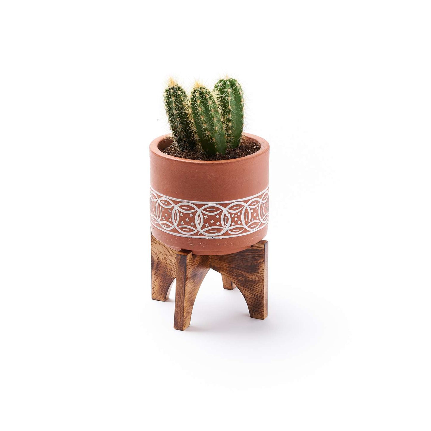  Matr Boomie 6 In. H X 4 In. D Terracotta Planter With Stand Multicolored