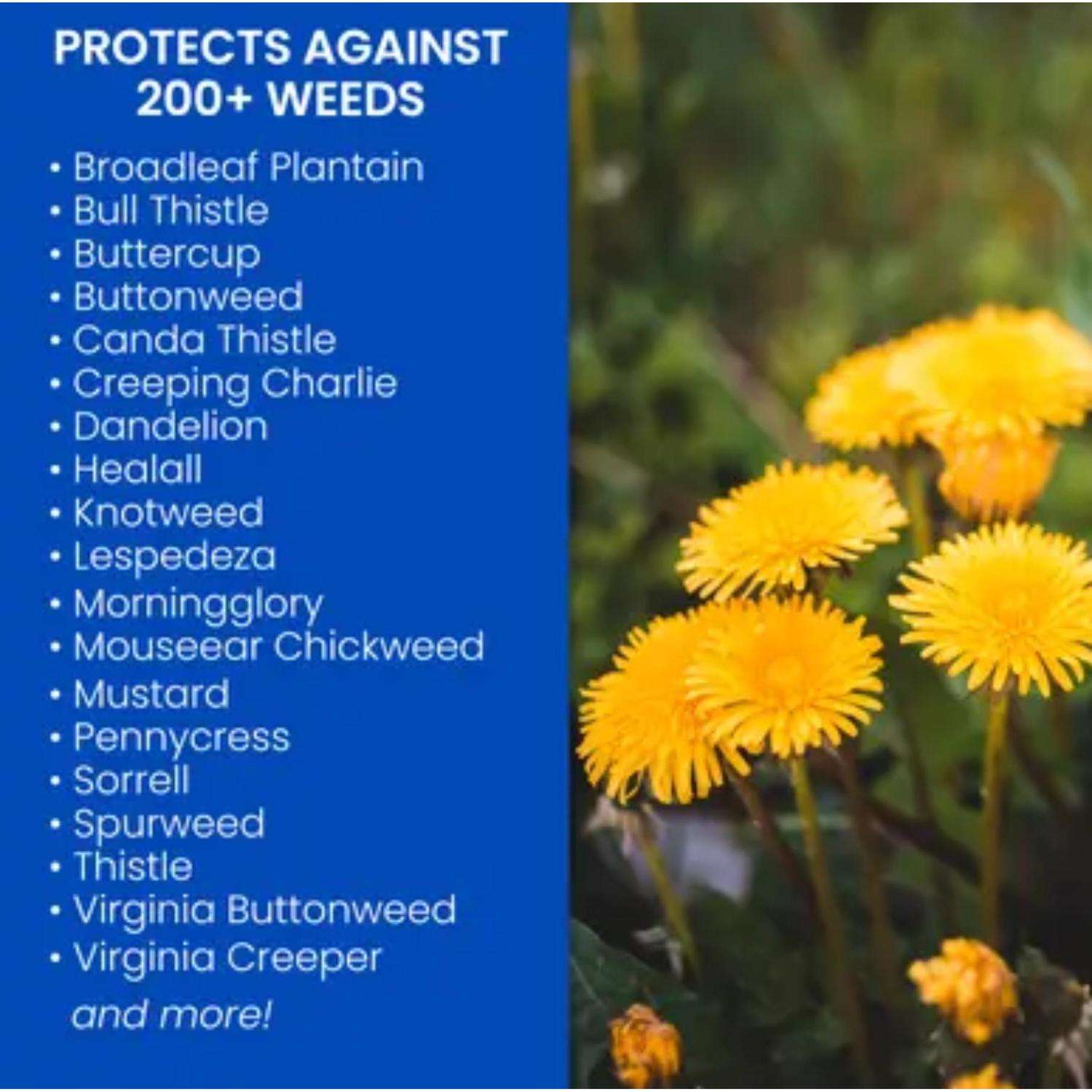  BioAdvanced Weed Killer RTS Hose-End Concentrate 29 Oz