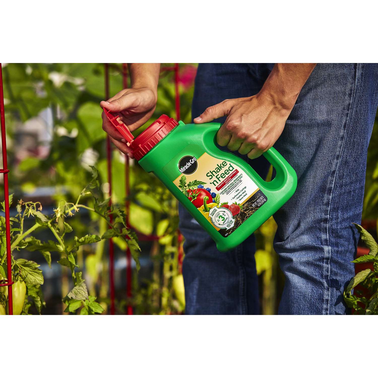  Miracle-Gro Shake 'n Feed Granules Plant Food 4.5 Lb
