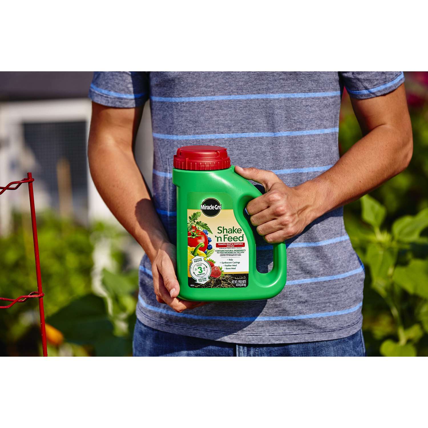  Miracle-Gro Shake 'n Feed Granules Plant Food 4.5 Lb