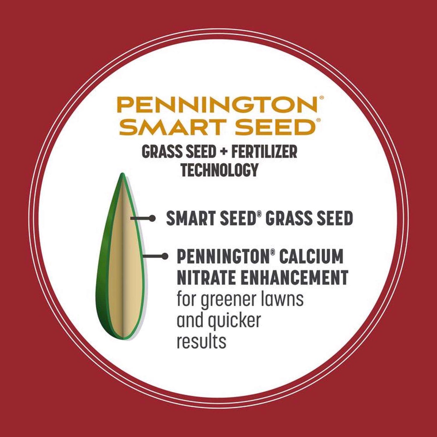  Pennington Smart Seed Perennial Ryegrass Sun Or Shade Grass Seed And Fertilizer 3 Lb