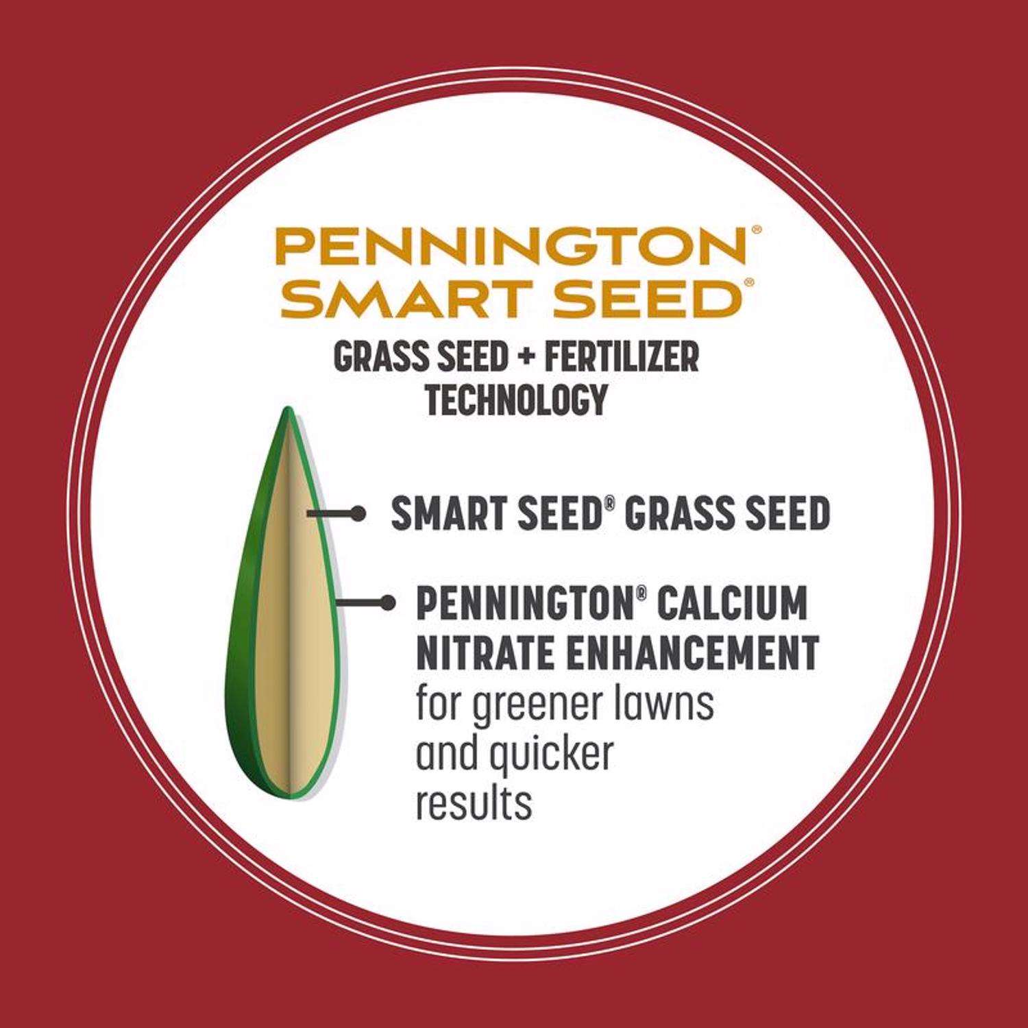  Pennington Smart Seed Perennial Ryegrass Sun Or Shade Grass Seed And Fertilizer 3 Lb