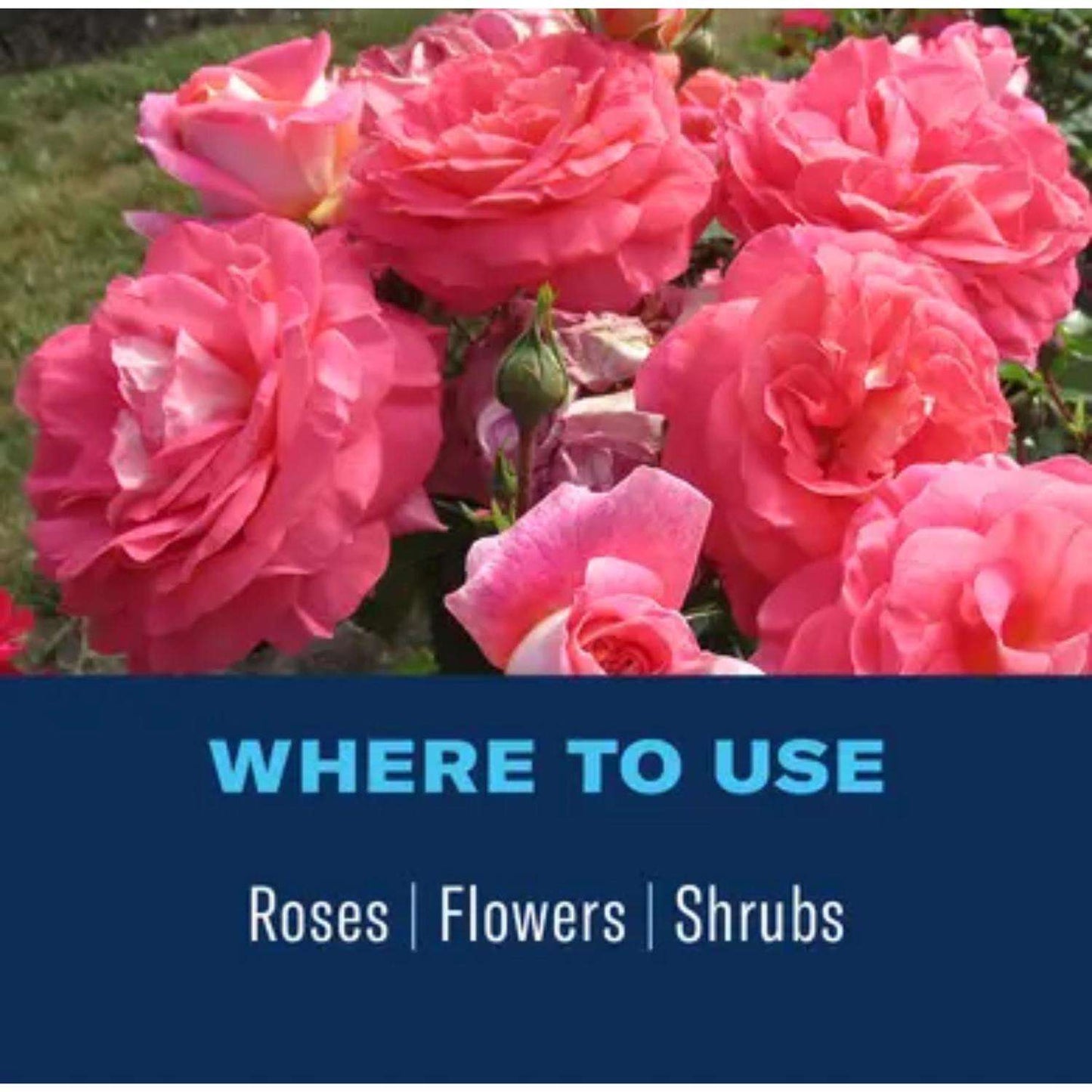  BioAdvanced 2-in-1 Systemic Roses And Flowers 6-9-6 Rose & Flower Fertilizer/Insecticide 10 Lb