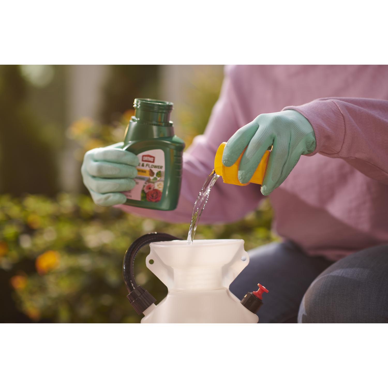  Ortho Concentrated Liquid Disease Control 16 Oz