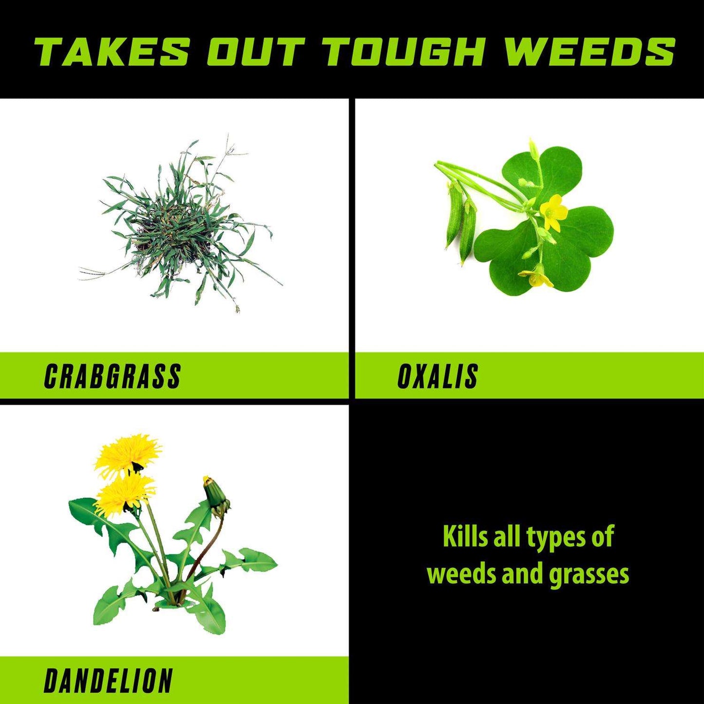  Ortho GroundClear Weed And Grass Killer RTU Liquid 1 Gal