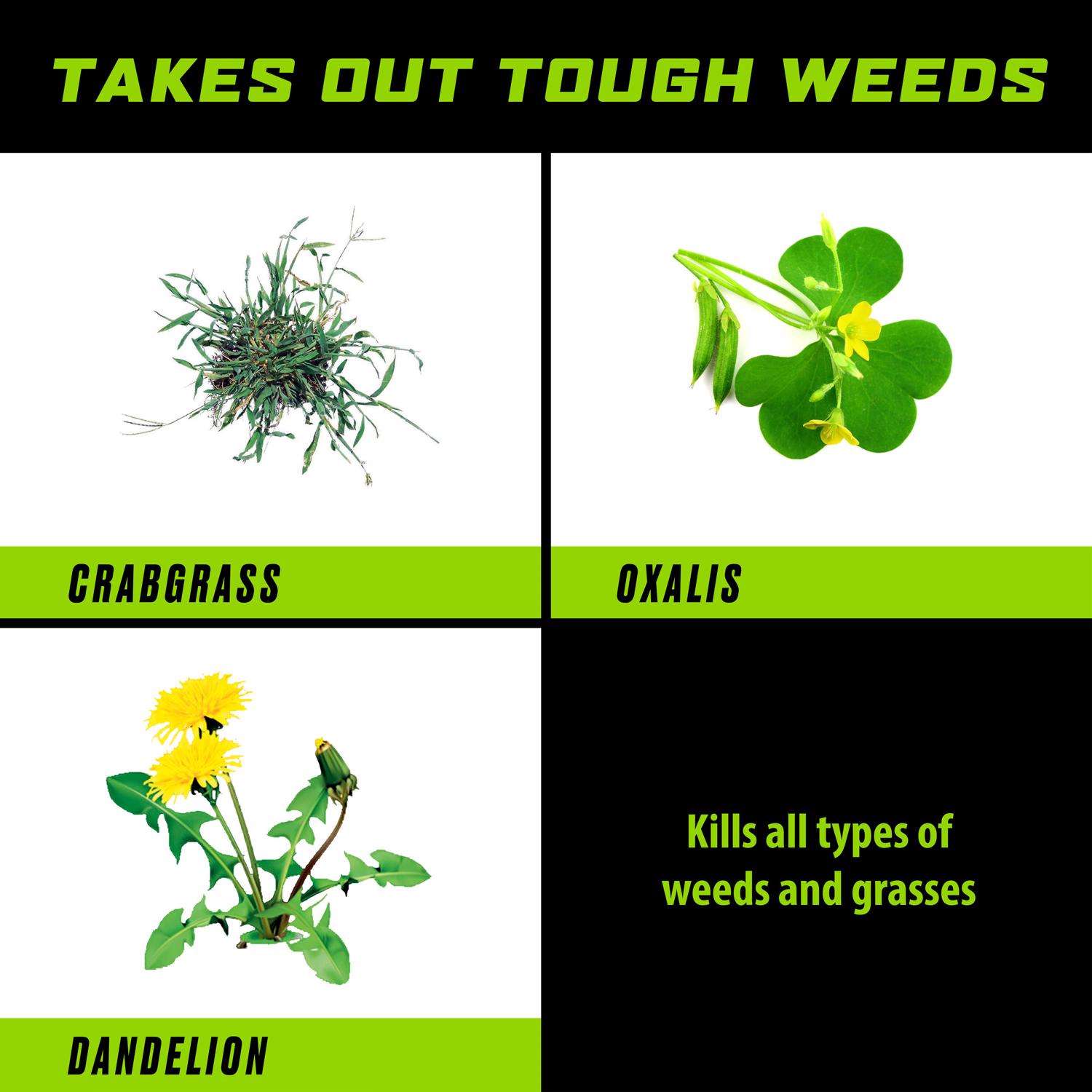  Ortho GroundClear Weed And Grass Killer RTU Liquid 1 Gal