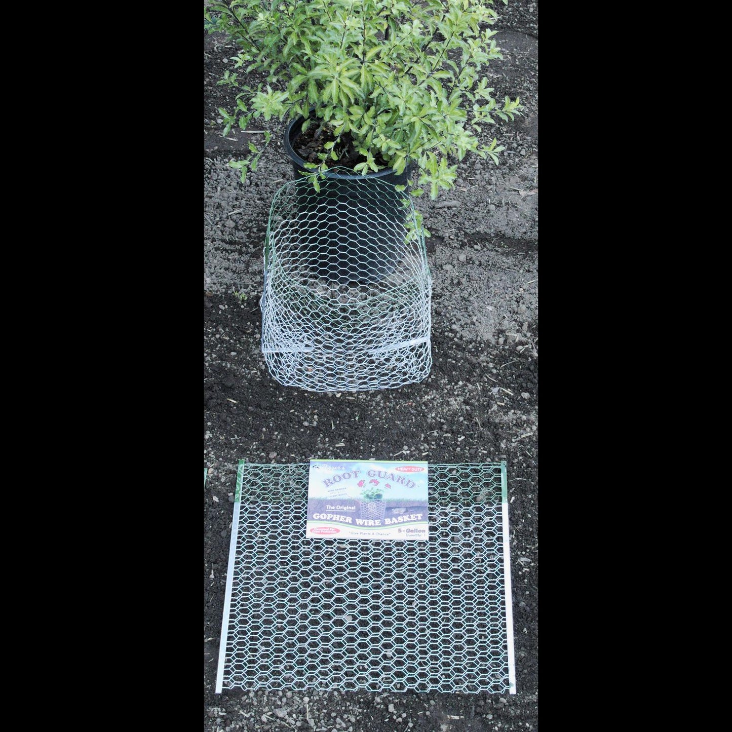  Digger's Root Guard 20 In. H X 19 In. W X 0.2 In. D Silver Coated Wire Gopher Wire Basket