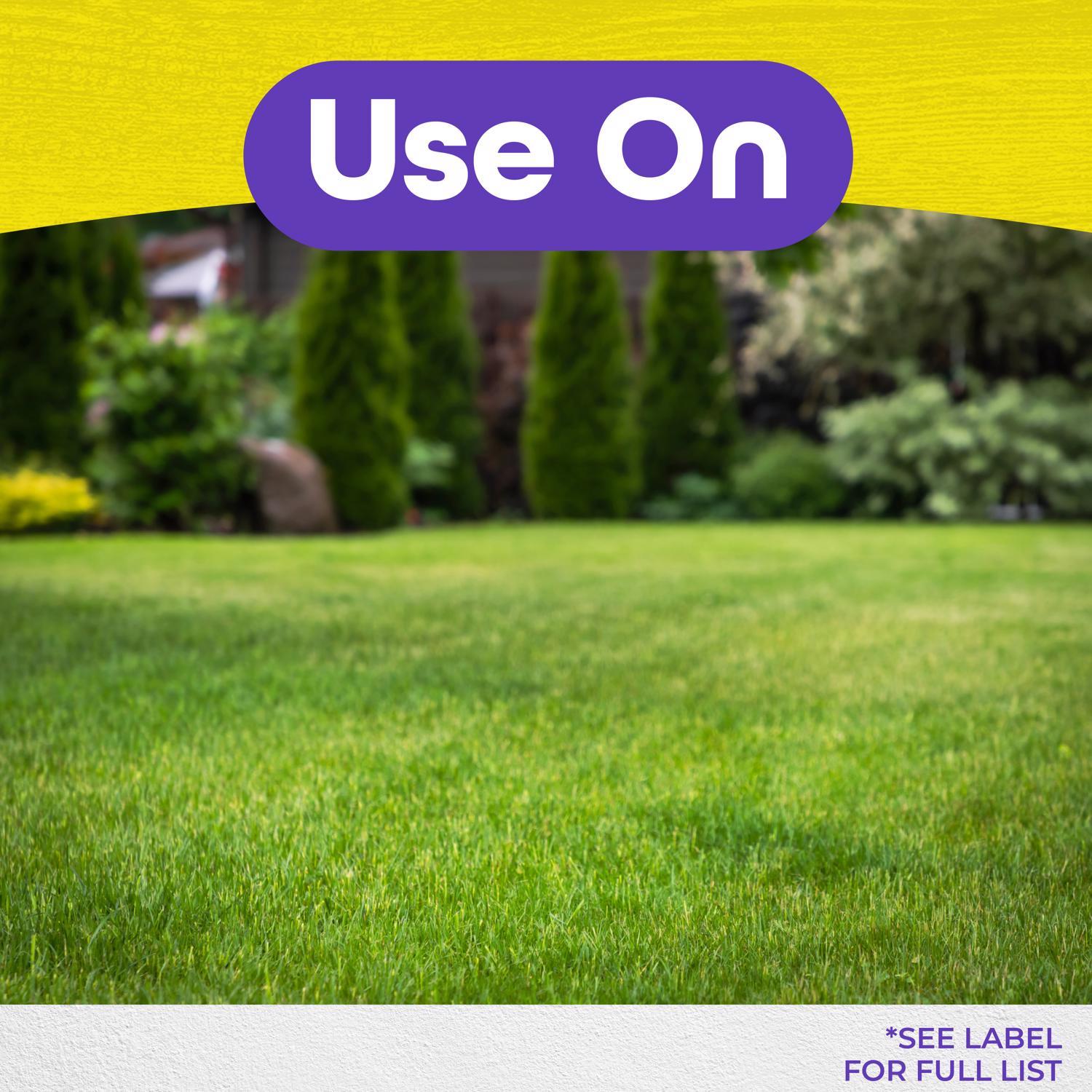  Bonide MoleMax Animal Repellent Stake For Gophers And Moles 1 Each