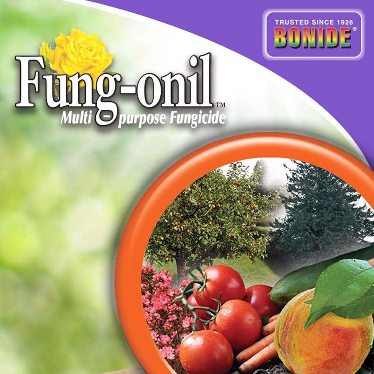  Bonide Fung-onil Concentrated Liquid Fungicide 16 Oz