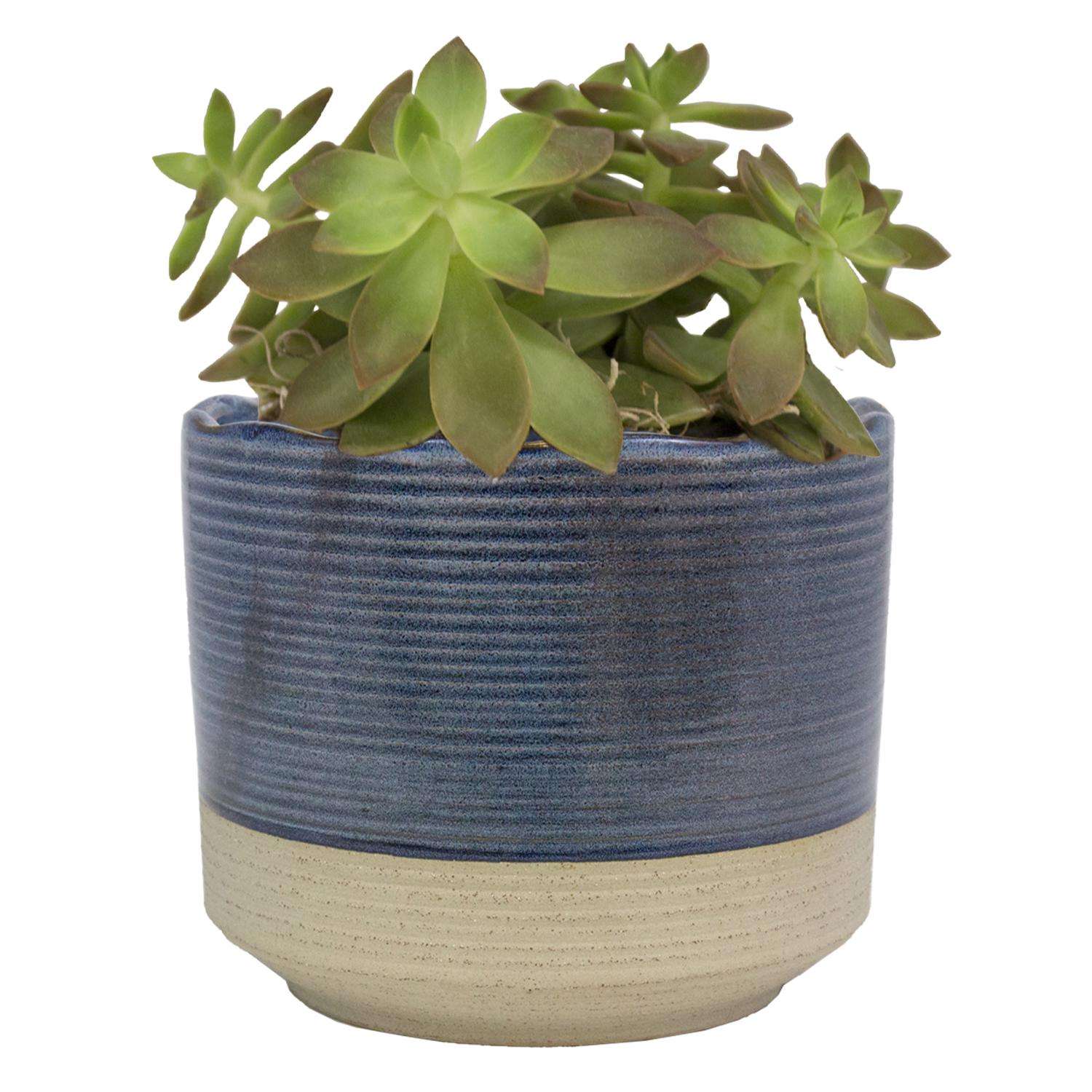  Trendspot Shore 5.1 In. H X 6 In. W X 6 In. D X 6 In. D Ceramic Planter Blue