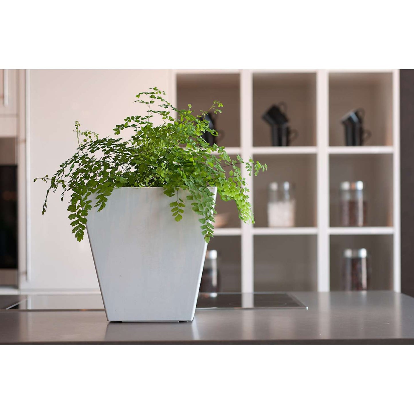  Novelty Artstone 8 In. H X 7.8 In. W X 7.8 In. D Resin Ella Planter White