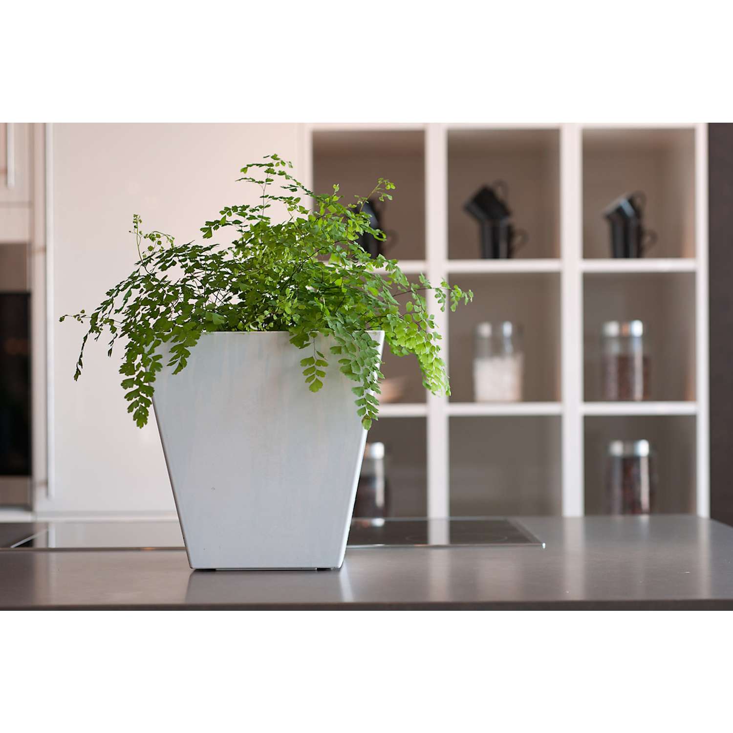  Novelty Artstone 8 In. H X 7.8 In. W X 7.8 In. D Resin Ella Planter White