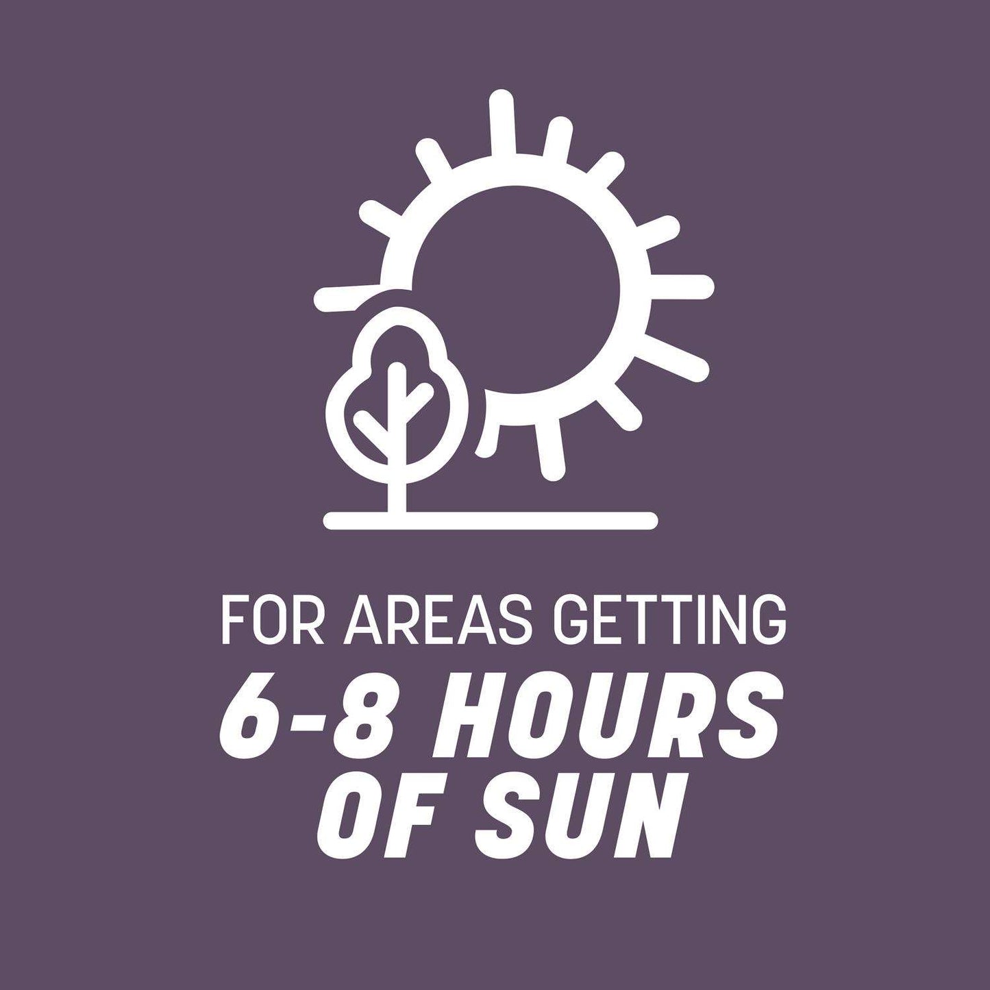  Pennington Annual Ryegrass Sun Or Shade Grass Seed 10 Lb