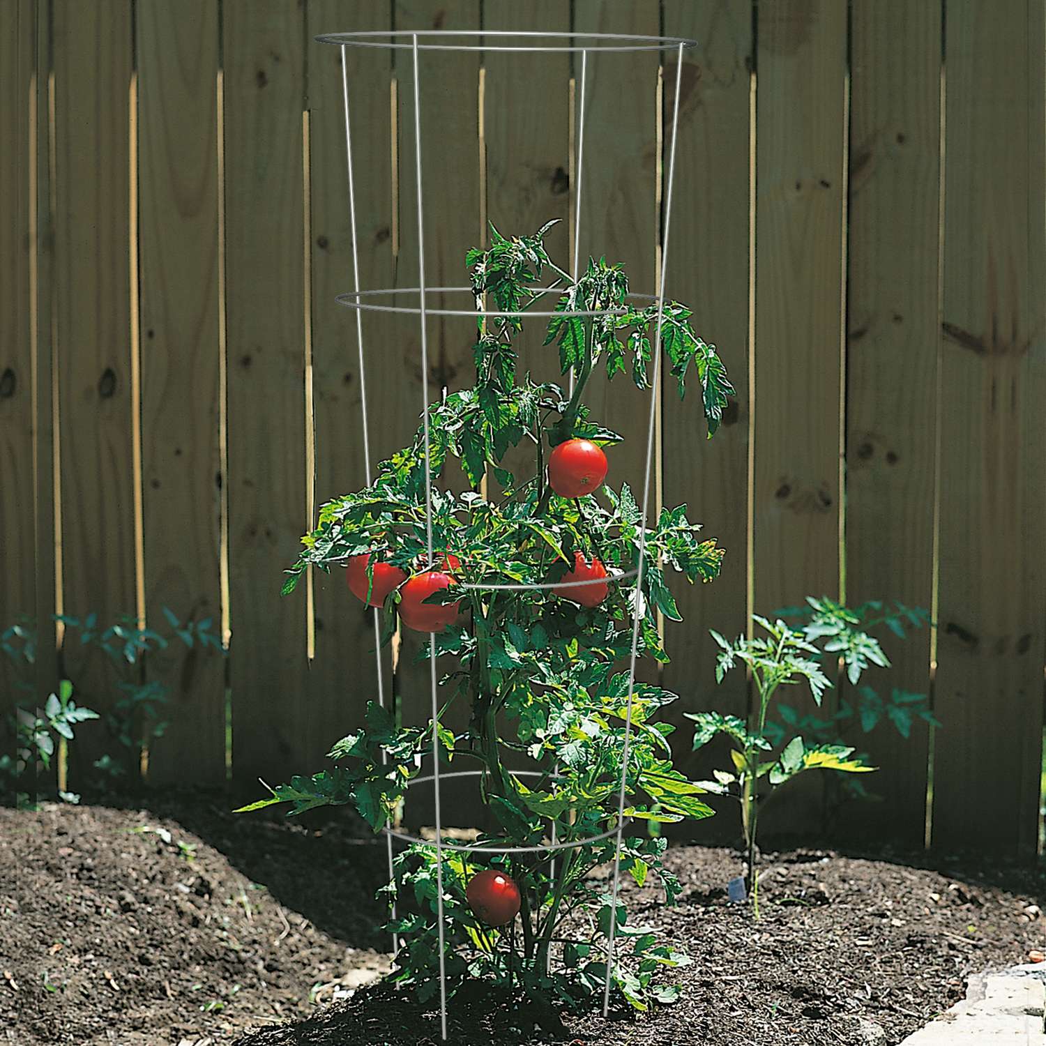  Panacea 54 In. H X 16 In. W X 16 In. D Gray Steel Tomato Cage