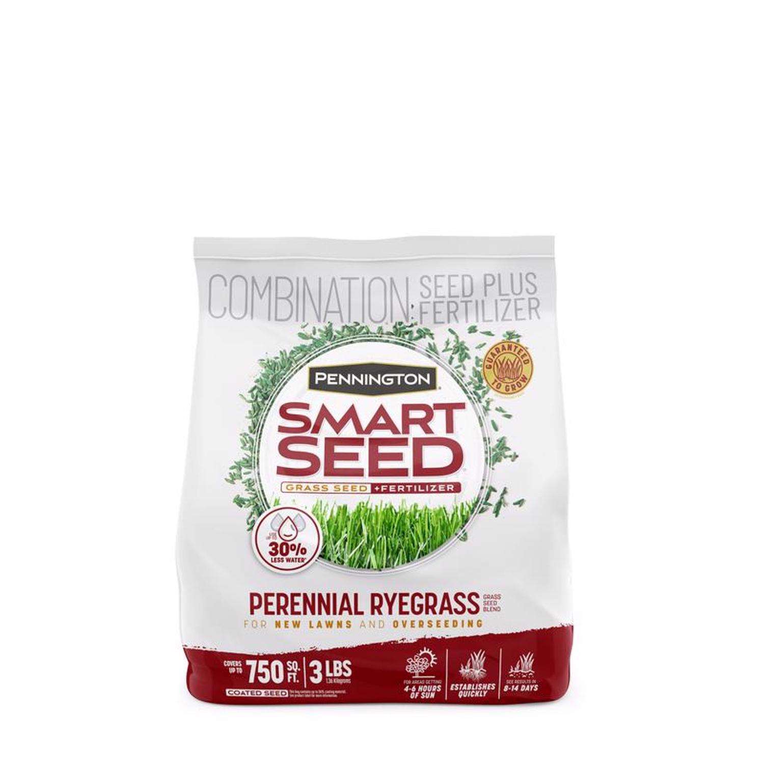  Pennington Smart Seed Perennial Ryegrass Sun Or Shade Grass Seed And Fertilizer 3 Lb