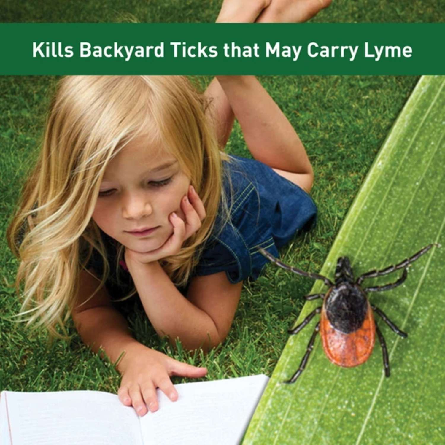  Thermacell Control Tubes Insect Repellent Device For Ticks 12 Pk