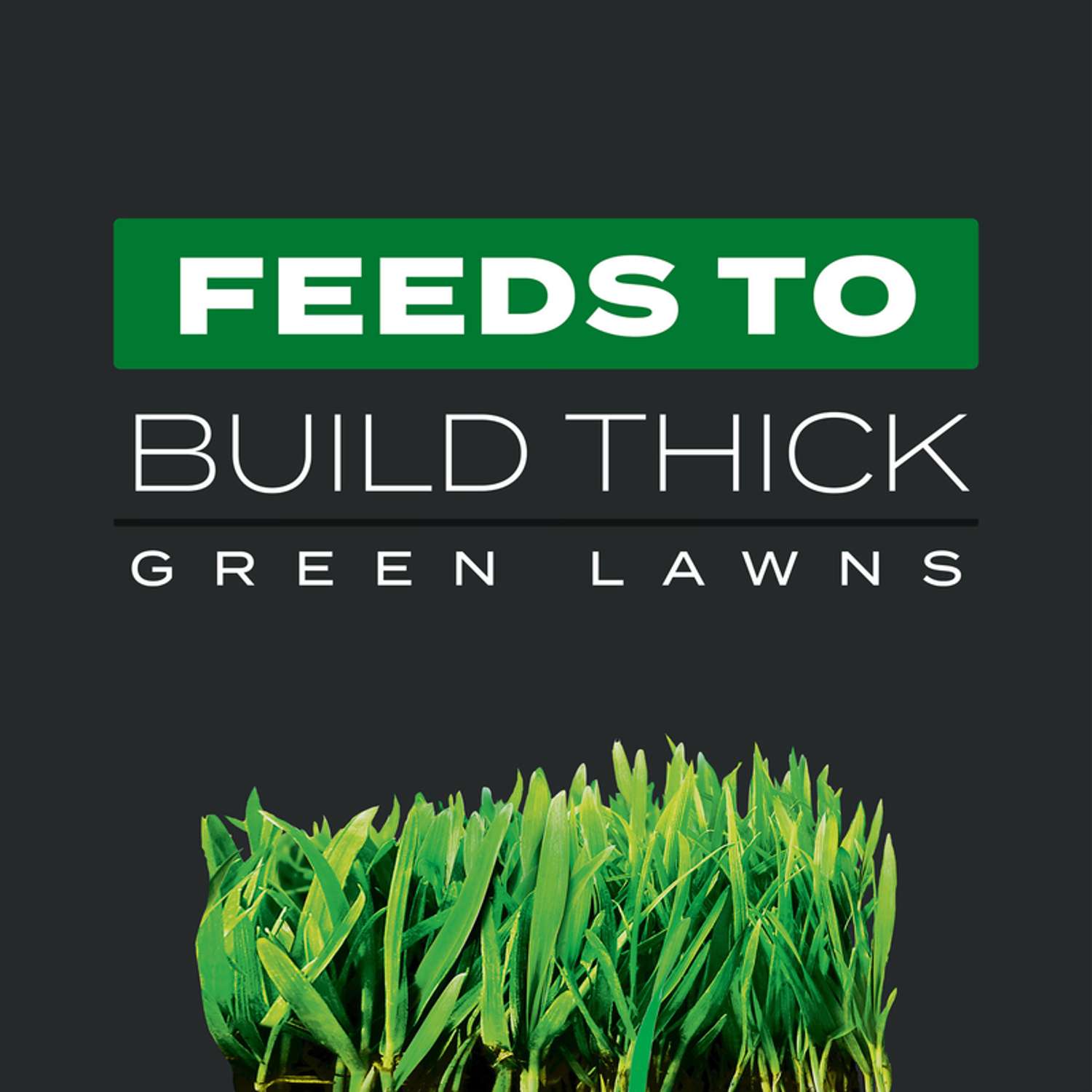  Scotts Turf Builder Triple Action Weed & Feed Lawn Fertilizer For All Grasses 10000 Sq Ft