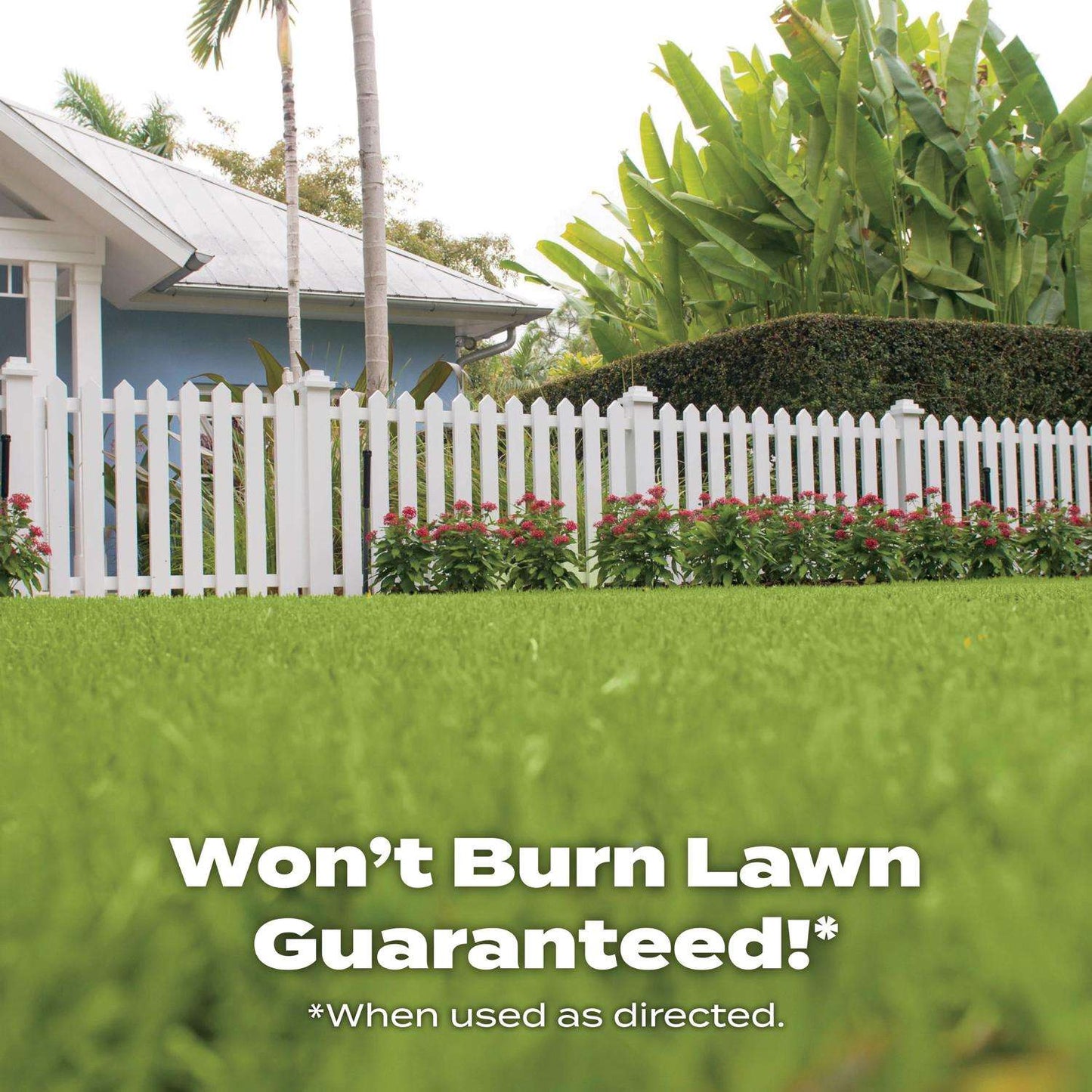  Scotts Turf Builder All-Purpose Lawn Fertilizer For All Grasses 10000 Sq Ft