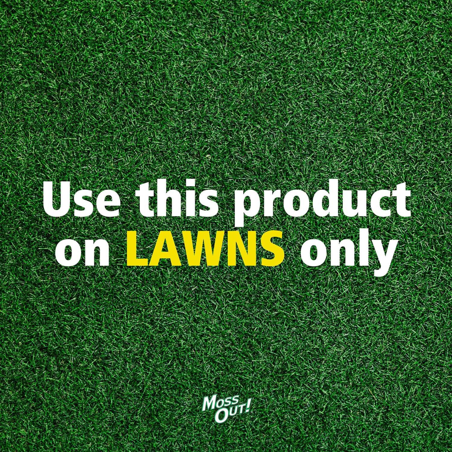  Lilly Miller Hose 'n Go Moss Out Moss Control Concentrate 32 Oz