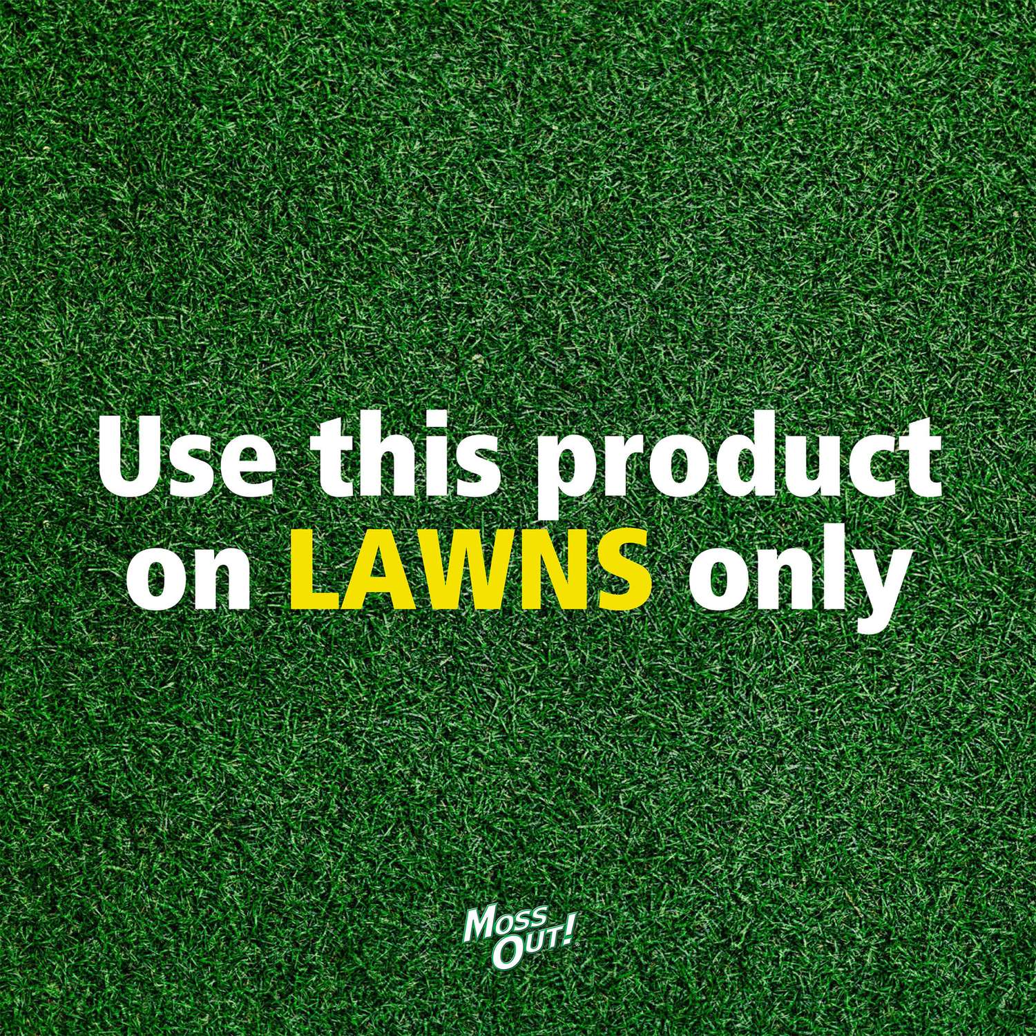  Lilly Miller Hose 'n Go Moss Out Moss Control Concentrate 32 Oz