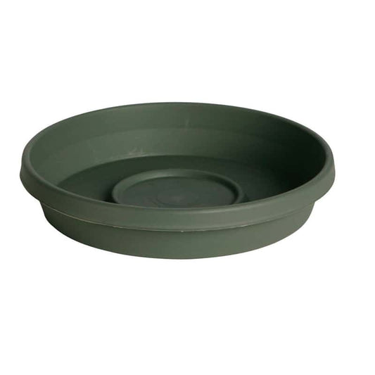  Bloem Terratray 2.7 In. H X 17 In. D Resin Traditional Tray Thyme Green