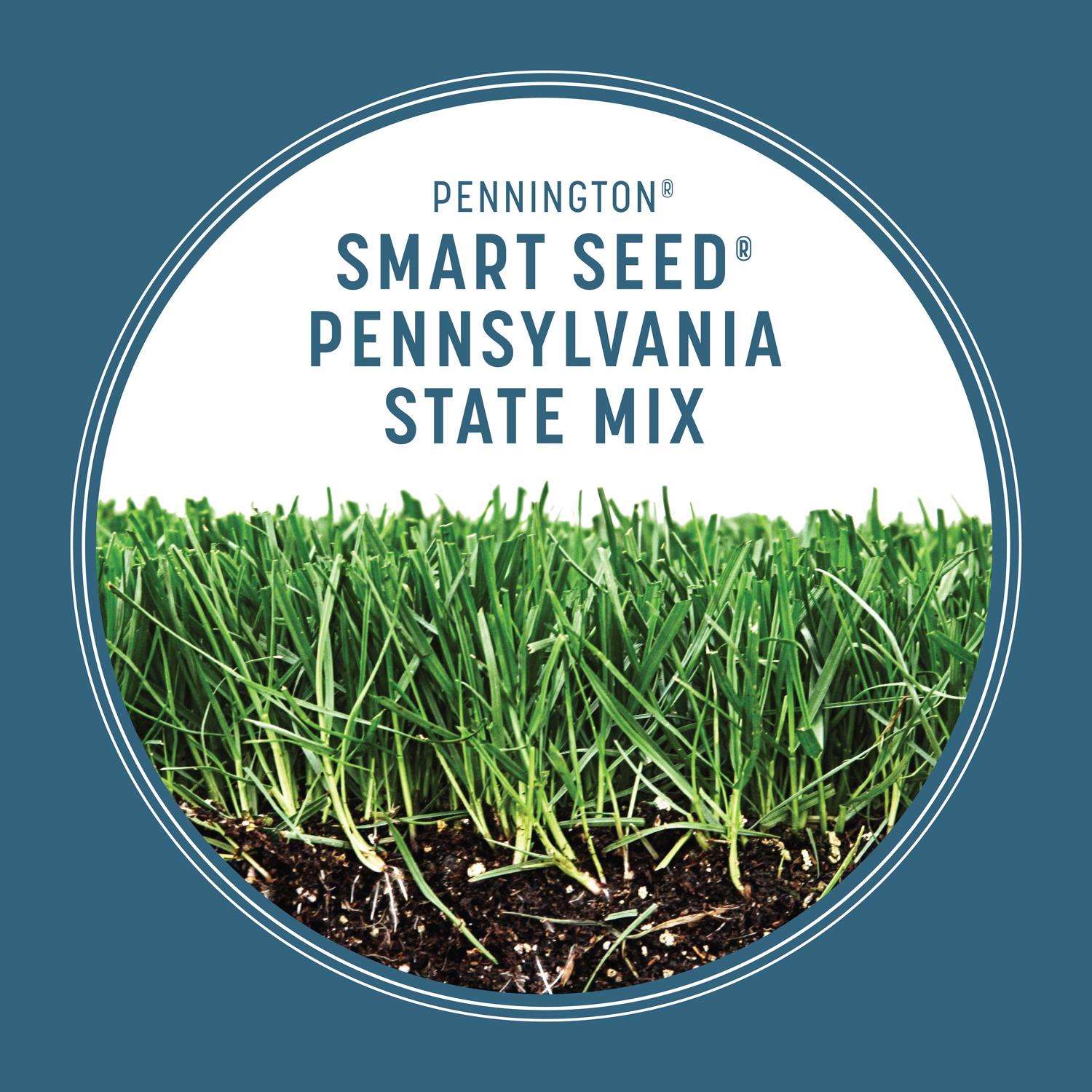  Pennington Smart Seed Pennsylvania State Mixed Sun Or Shade Grass Seed And Fertilizer 3 Lb