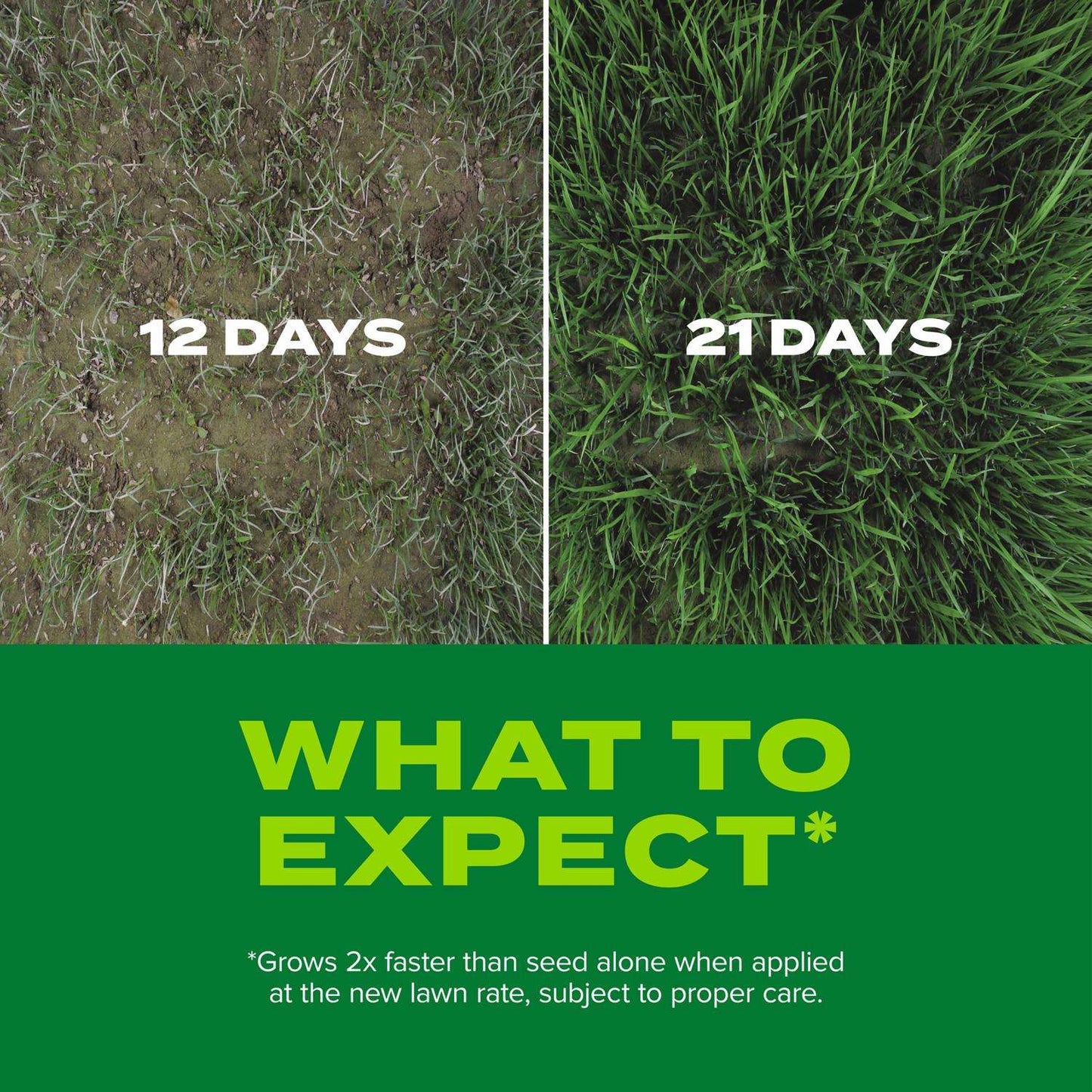 Scotts Turf Builder Rapid Grass Mixed Sun Or Shade Grass Seed And Fertilizer 16 Lb