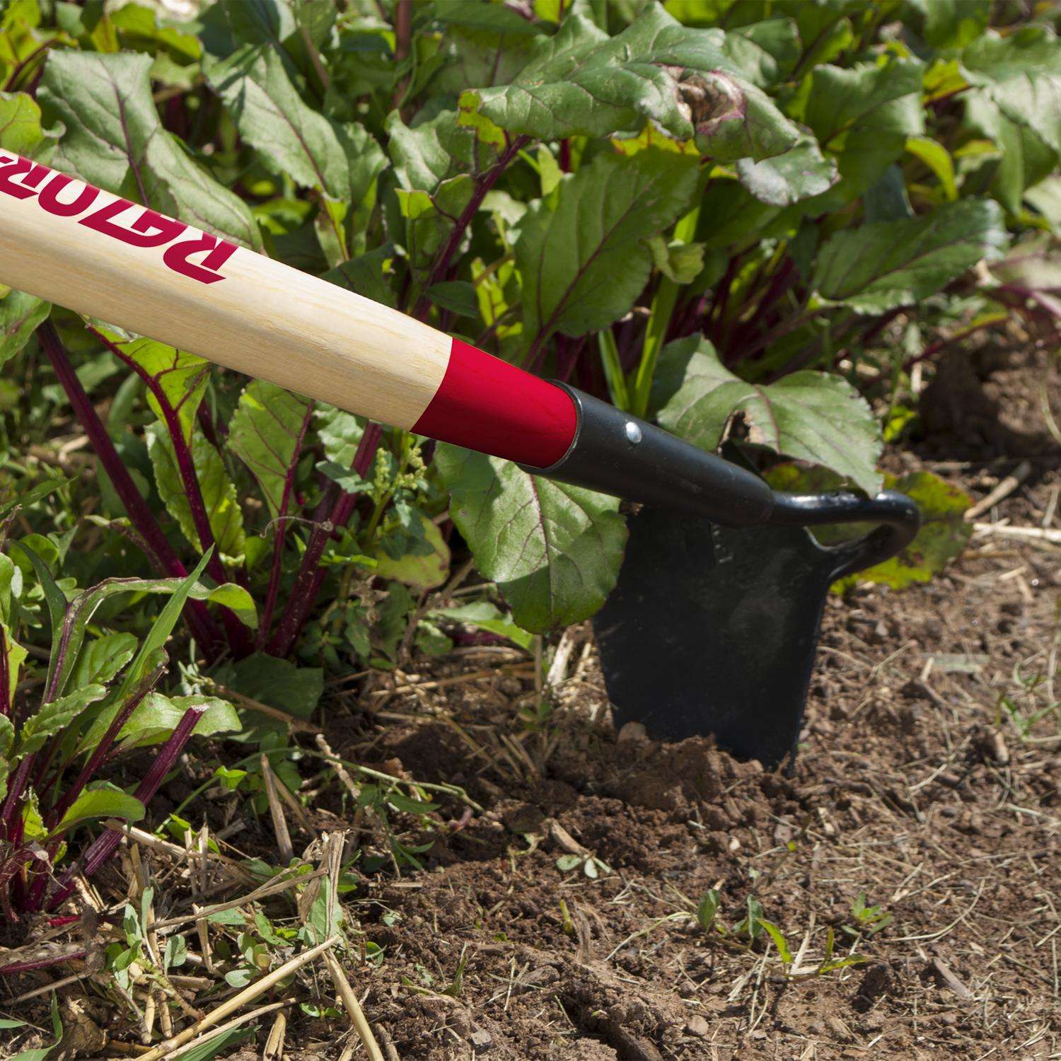  Razor-Back Steel Beet/Nursery Hoe 54 In. Wood Handle