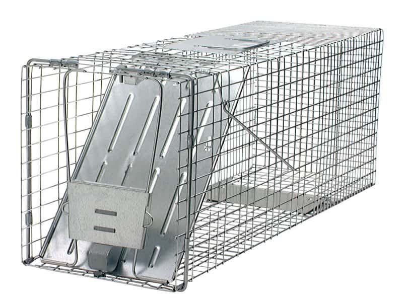  Havahart Large Live Catch Cage Trap For Cats And Raccoons 1 Pk
