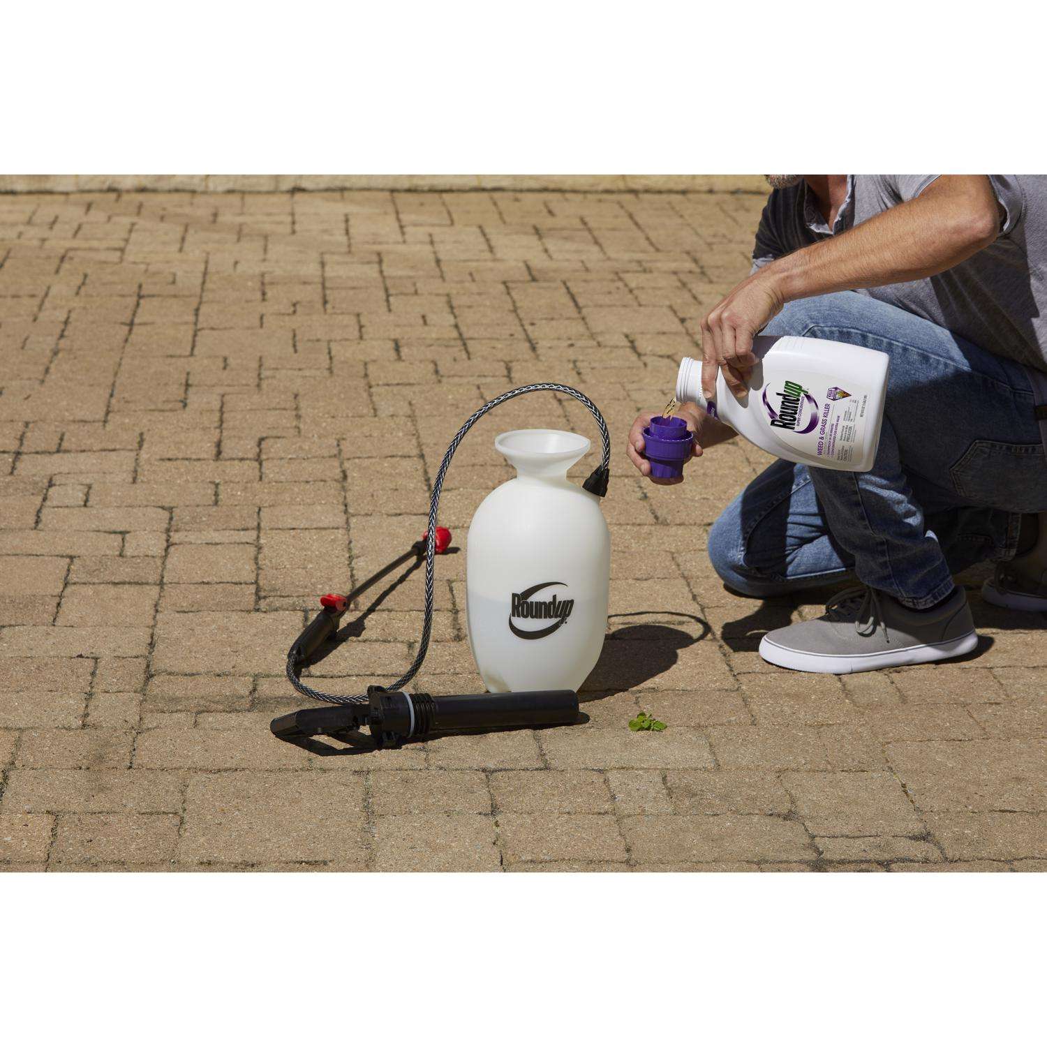  Roundup Weed And Grass Killer Concentrate 0.5 Gal