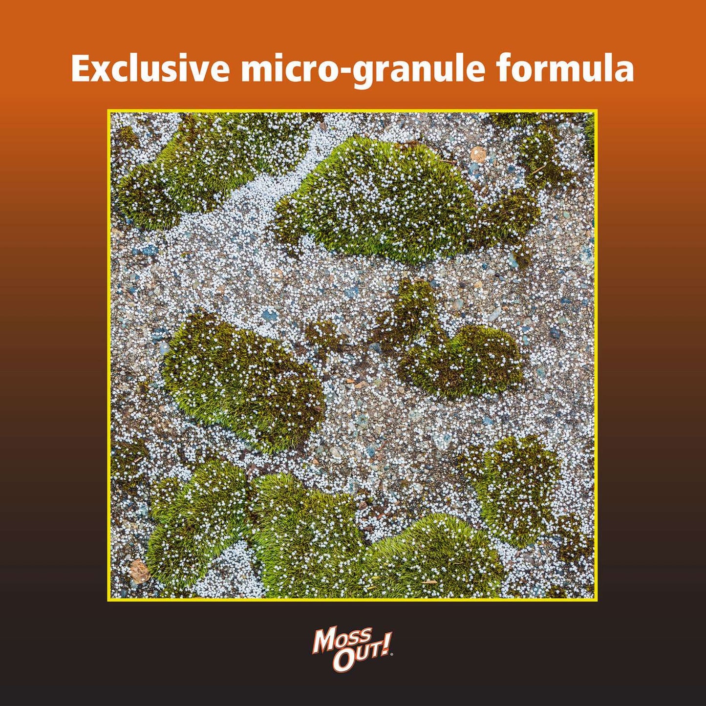  Lilly Miller Moss Out Moss Killer Granules 4 Lb