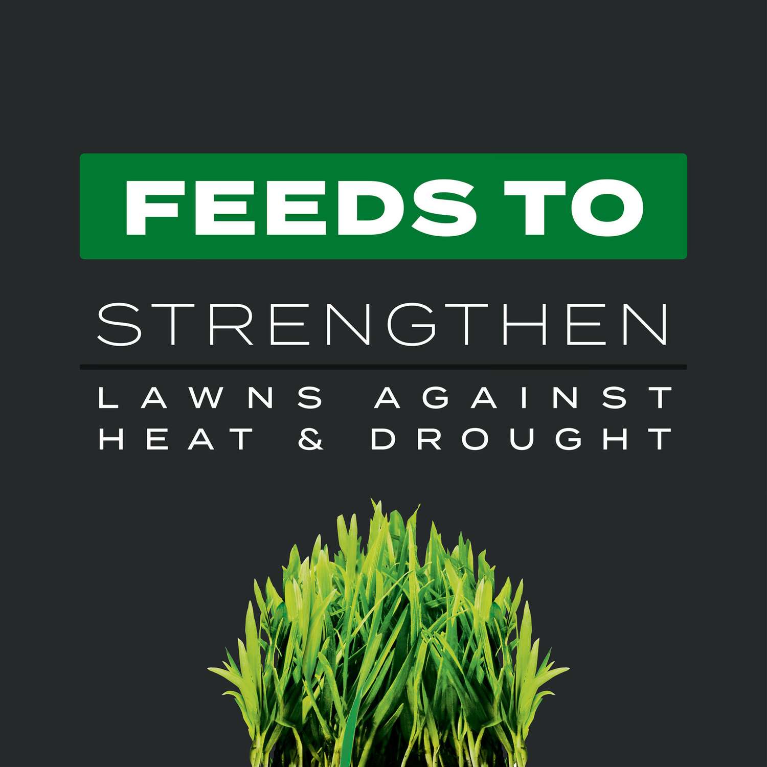  Scotts Turf Builder Southern Triple Action Weed & Feed Lawn Fertilizer For All Grasses 8000 Sq Ft