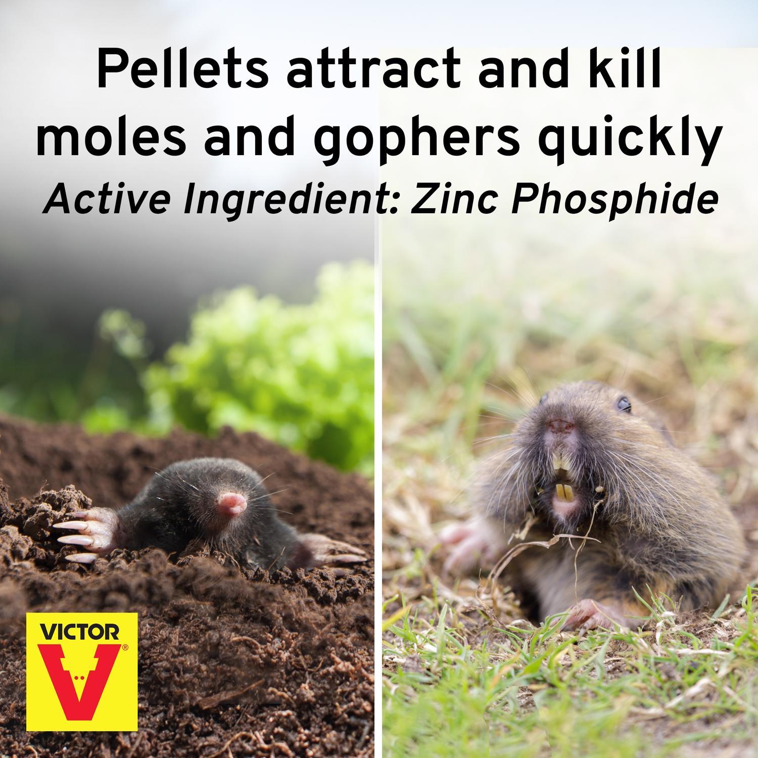  Victor Toxic Poison Peanuts Pellets For Gophers And Moles 6 Oz