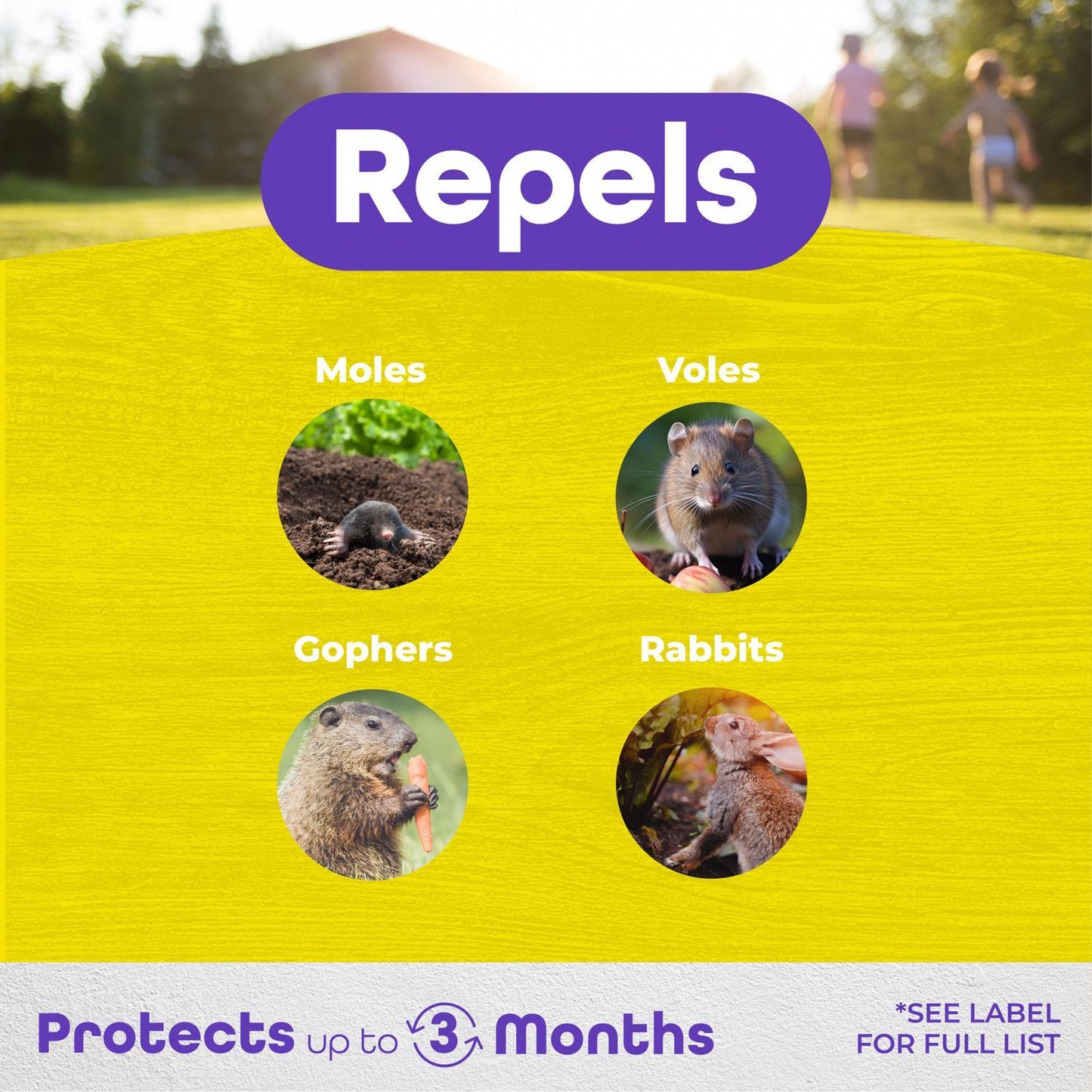  Bonide MoleMax Animal Repellent Granules For Moles And Voles 10 Lb