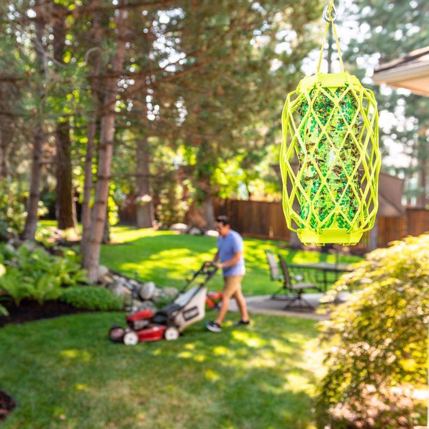  RESCUE TrapStik Insect Trap 1 Pk