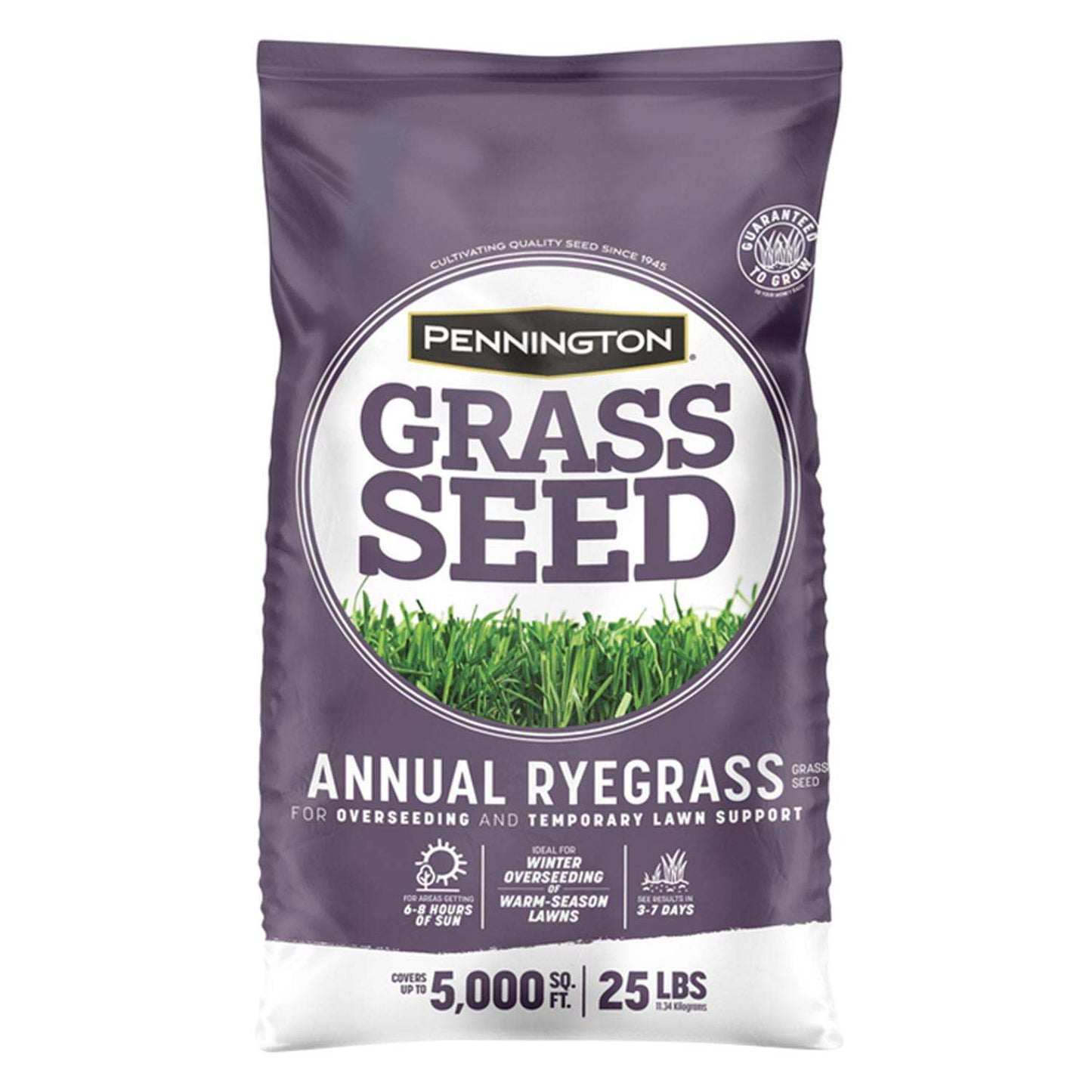  Pennington Annual Ryegrass Sun Or Shade Grass Seed 25 Lb