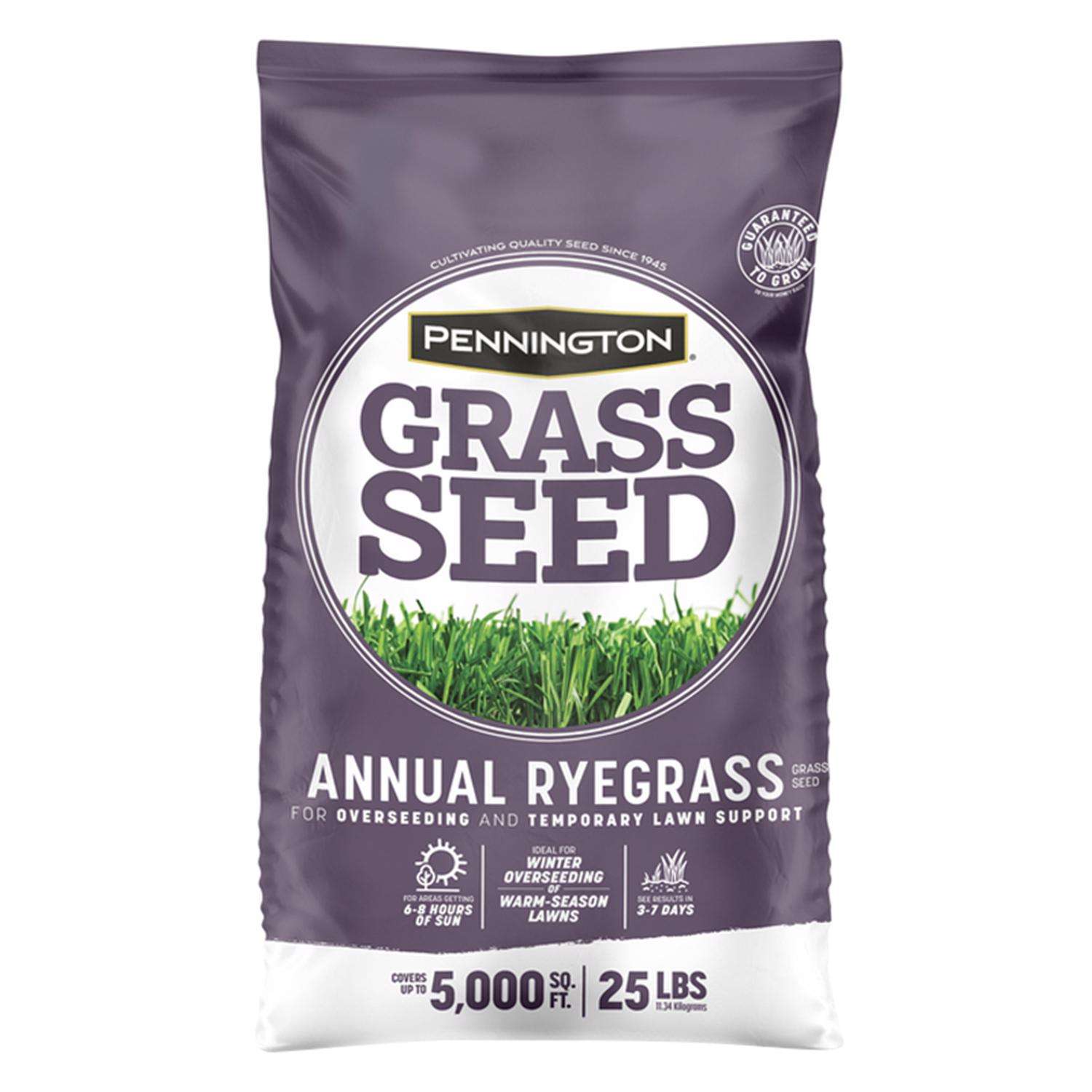  Pennington Annual Ryegrass Sun Or Shade Grass Seed 25 Lb