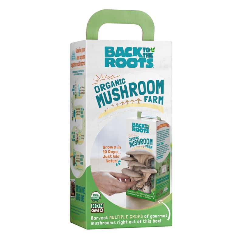  Back To The Roots Mushroom Grow Kit 1 Pk