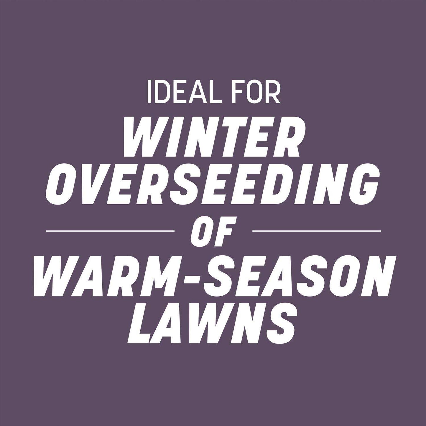  Pennington Annual Ryegrass Sun Or Shade Grass Seed 10 Lb