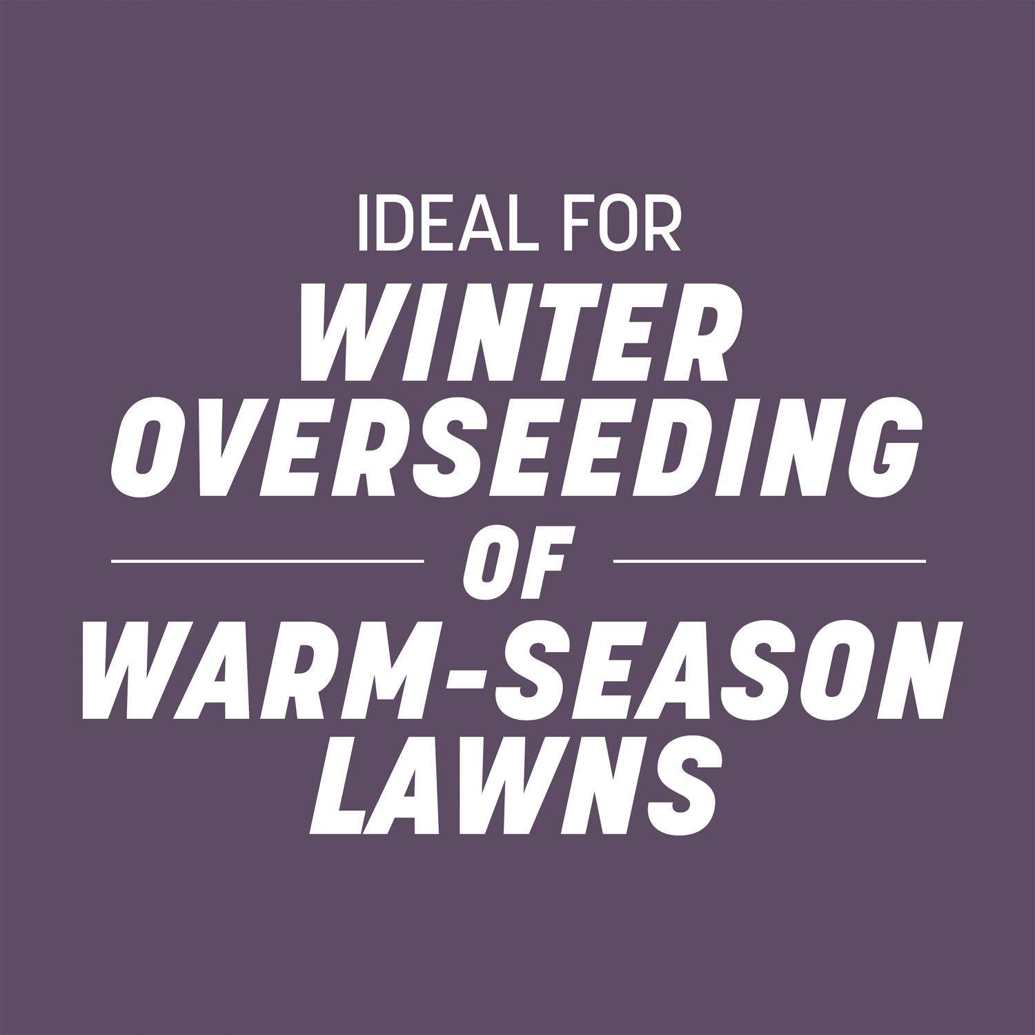  Pennington Annual Ryegrass Sun Or Shade Grass Seed 10 Lb