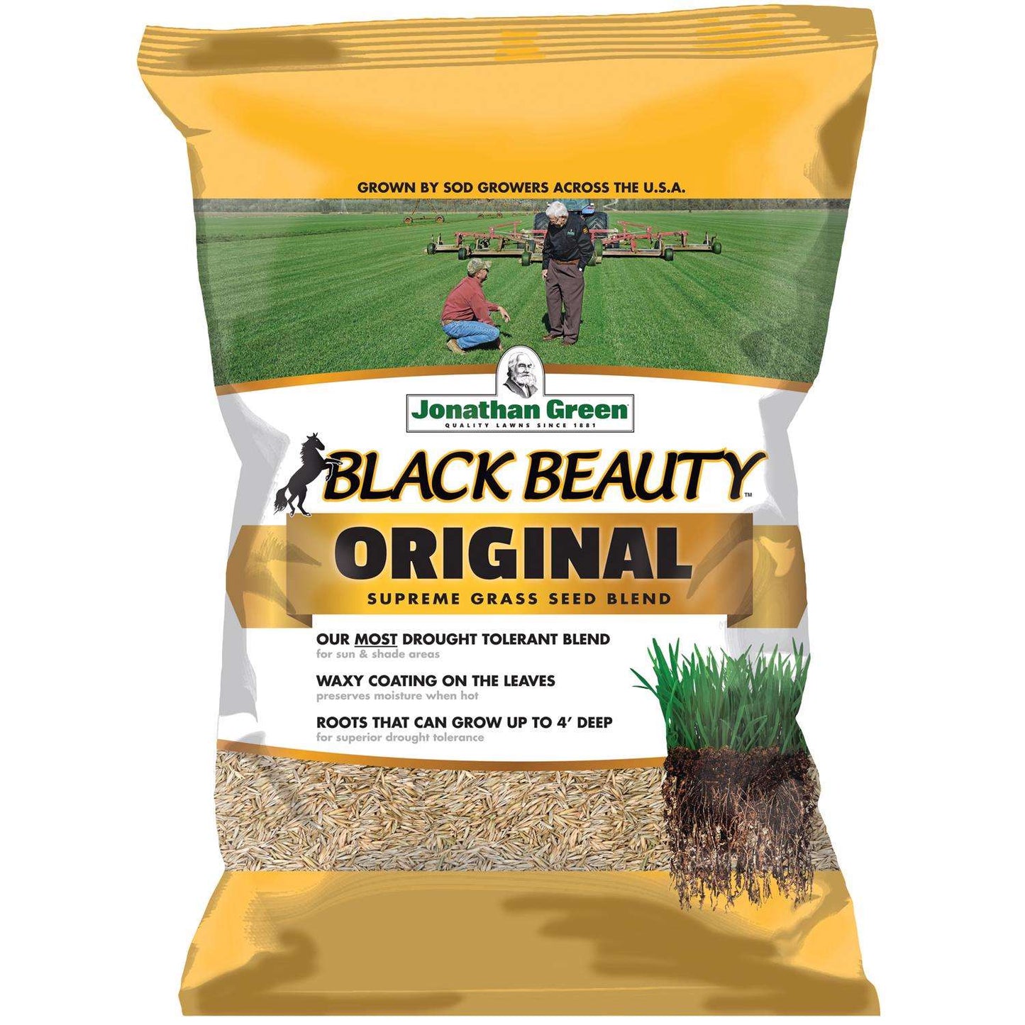  Jonathan Green Black Beauty Original Tall Fescue Grass Sun Or Shade Grass Seed 15 Lb