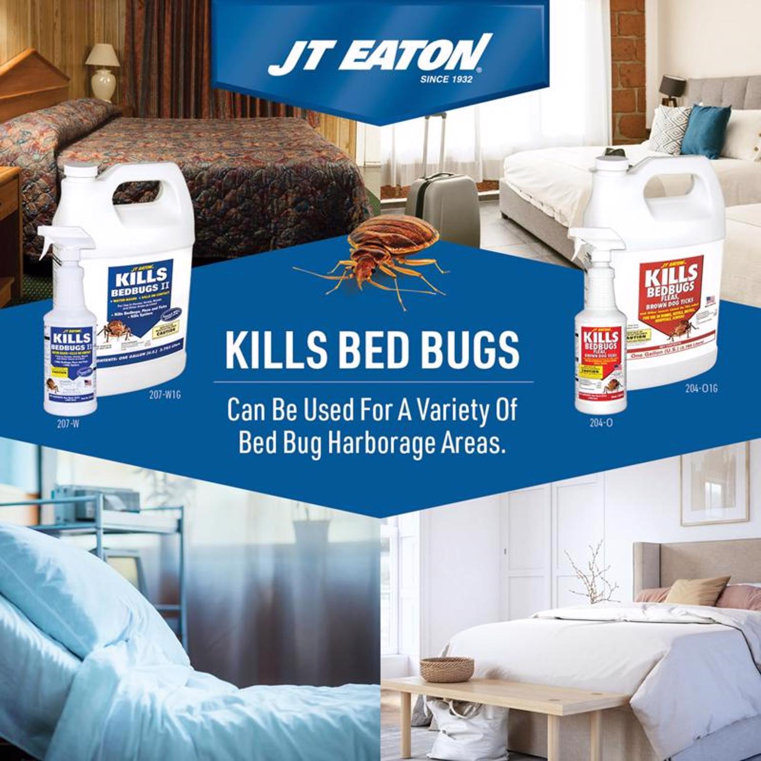  JT Eaton KILLS Insect Killer Liquid 1 Gal