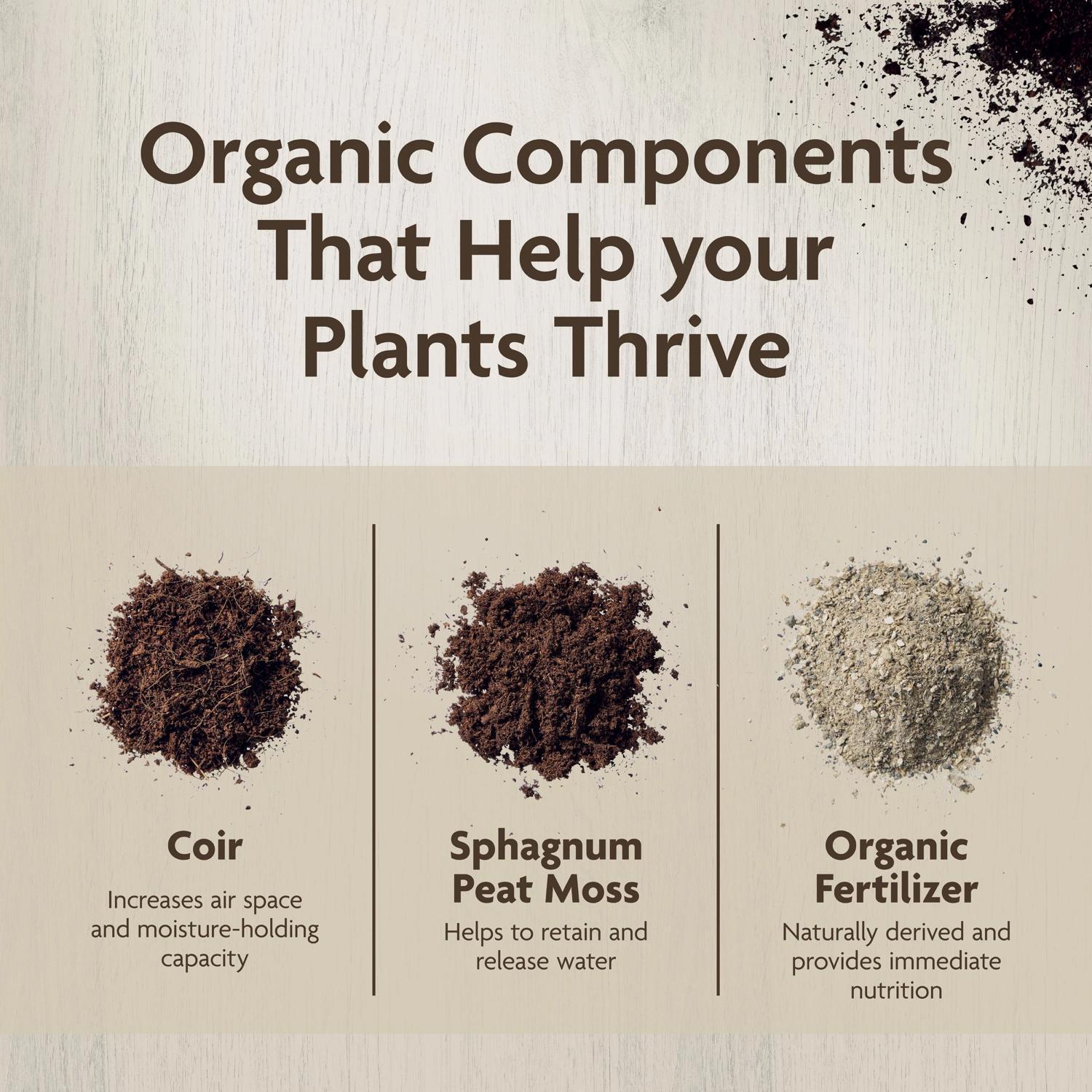  Miracle-Gro Organic Organic Indoor Plant Potting Mix 8 Qt