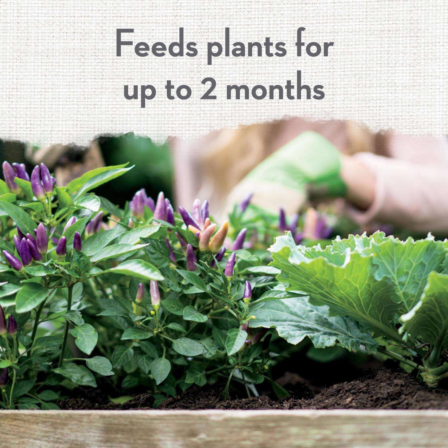  Whitney Farms Organic All Purpose Potting Soil 1.5 Cu Ft