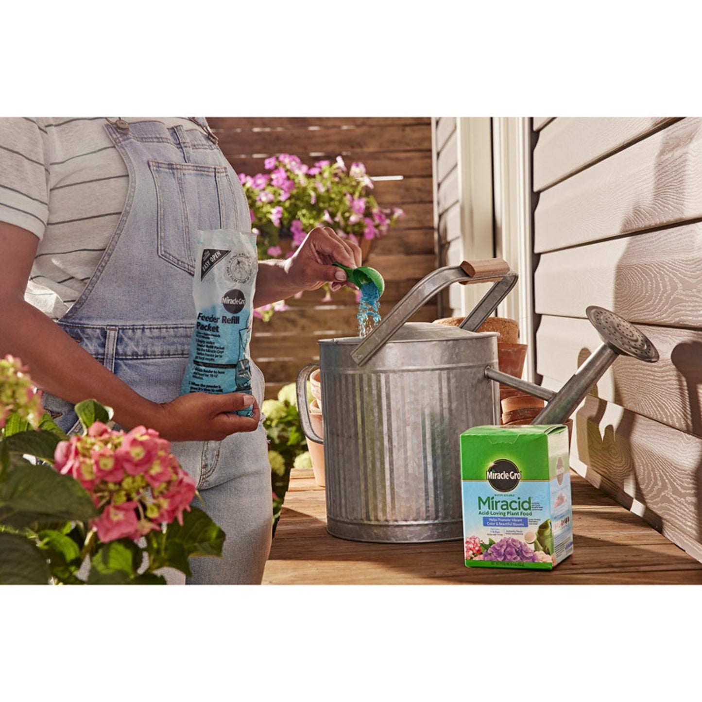  Miracle-Gro Miracid Powder Plant Food 1 Lb