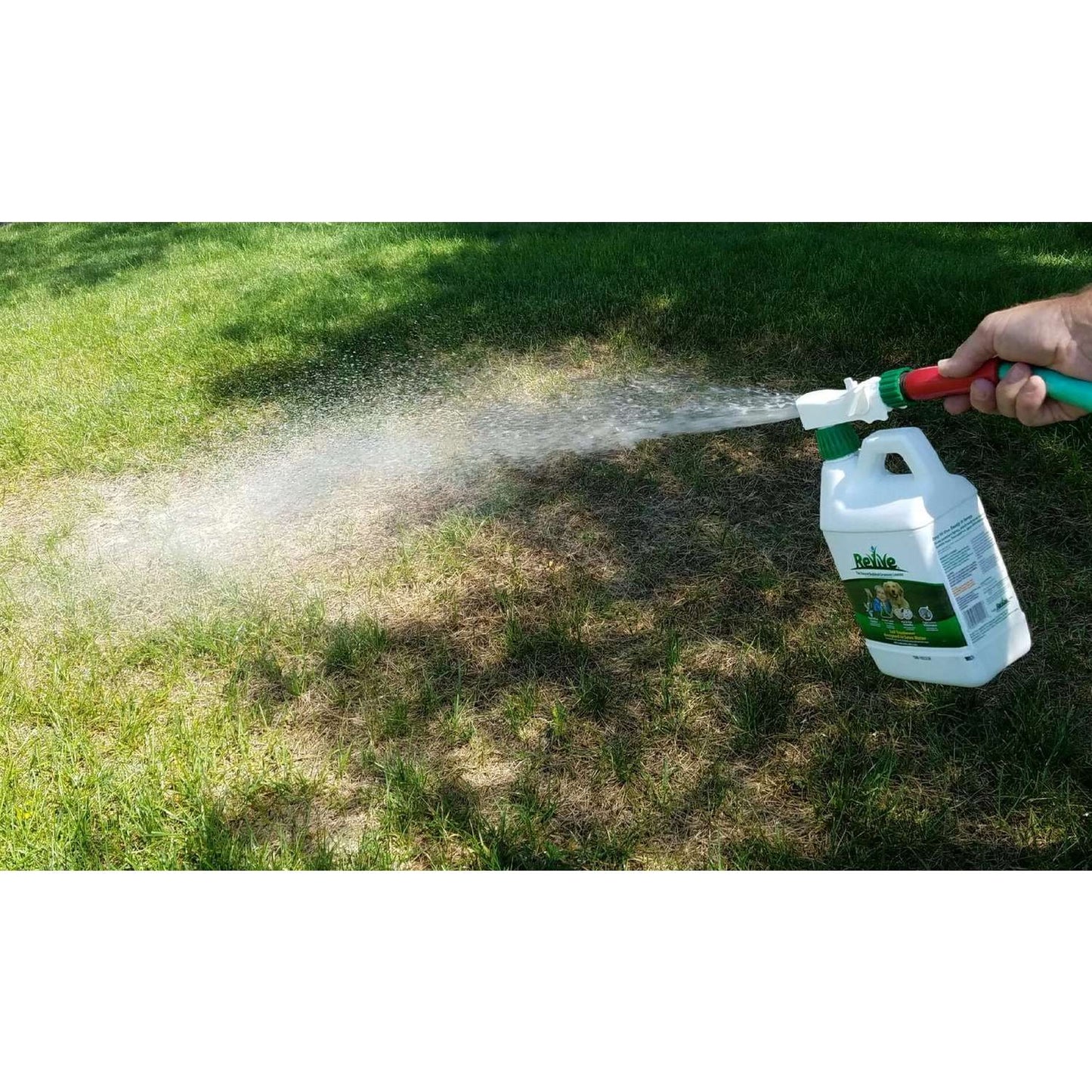  Revive All-Purpose Lawn Fertilizer For All Grasses 2000 Sq Ft